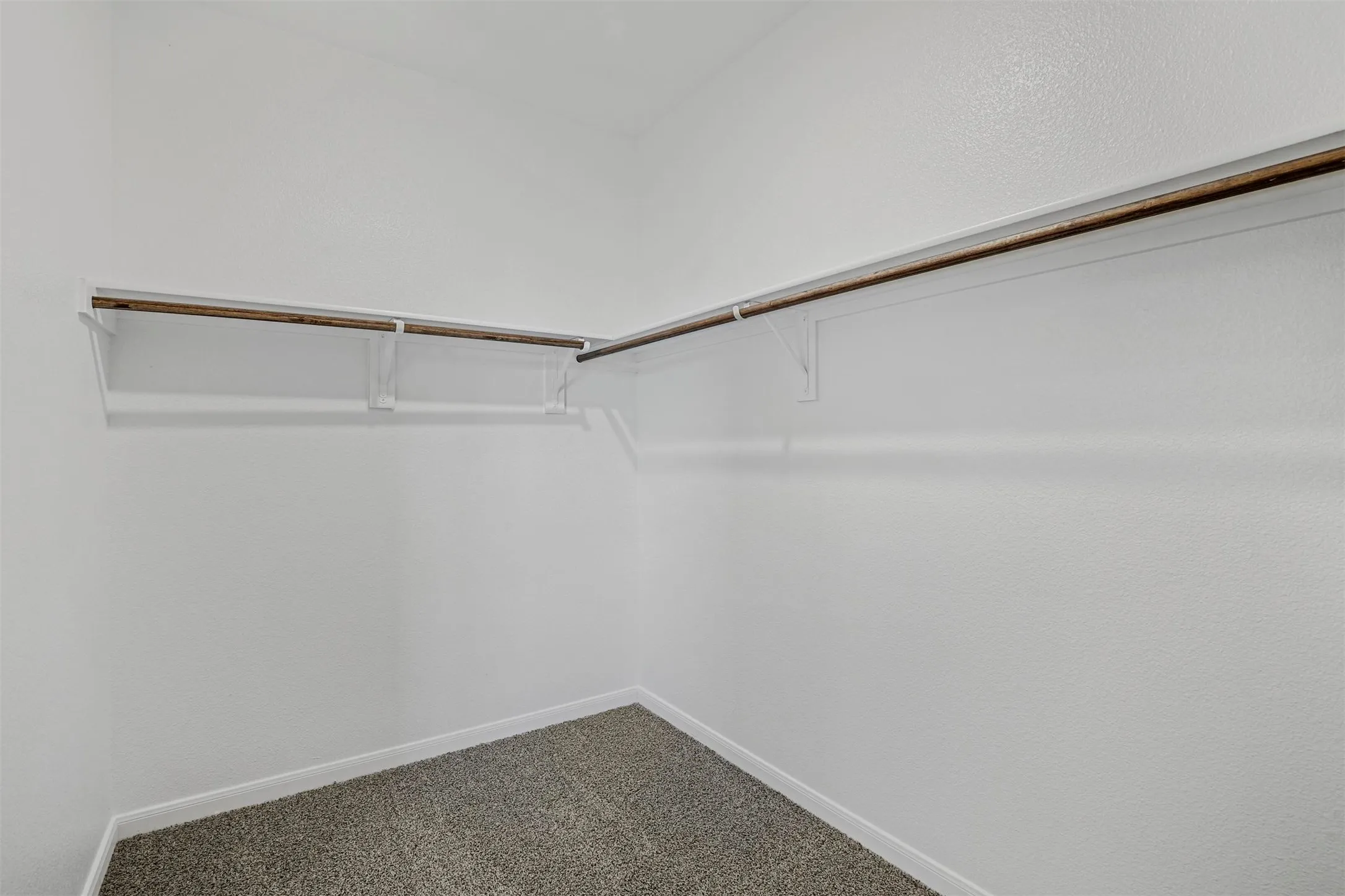 Walk-in closet featuring carpet flooring, built-in shelving, and hanging rods