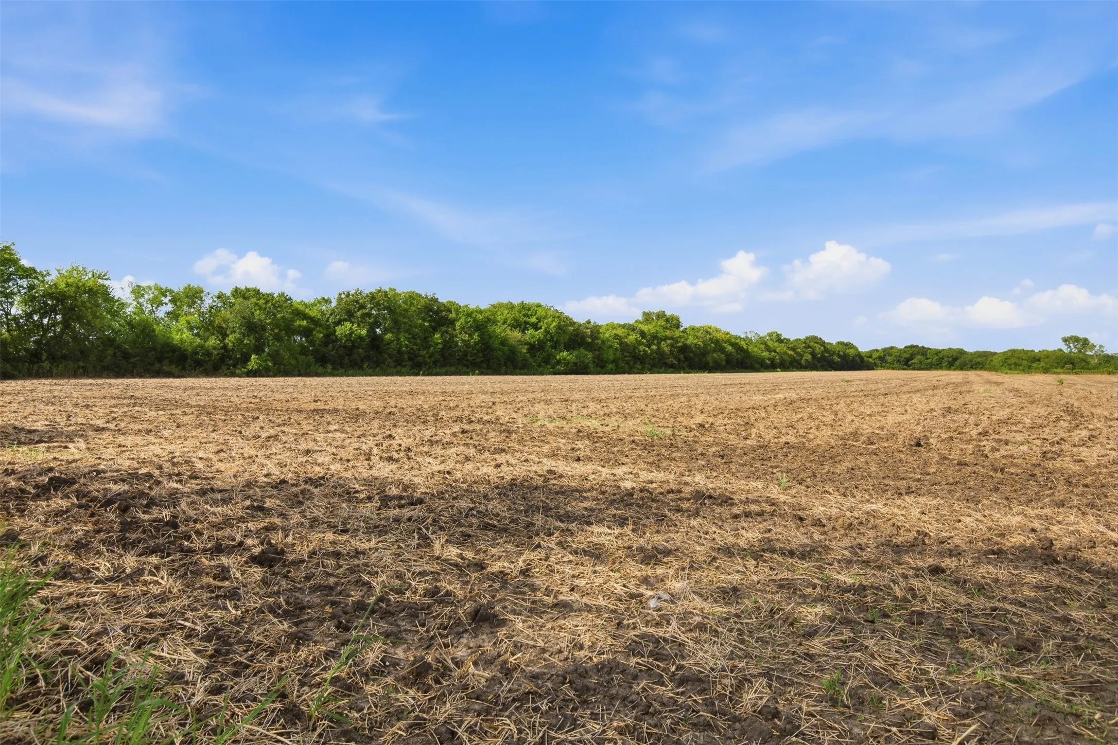 Unimproved Land For Sale in Grayson County , 661 Fm 902, Sherman, Texas 75090, 0, 0, Garage spaces, 0 Sqft, built in 0, mls#21403358, Real Estate Agent in Sherman, Homes For Sale in Grayson county, Homes For Sale in Sherman, Realtor in Sherman Texas, Real Estate Brokerage Independent Realty Texas, Luminita Cordes Realtor