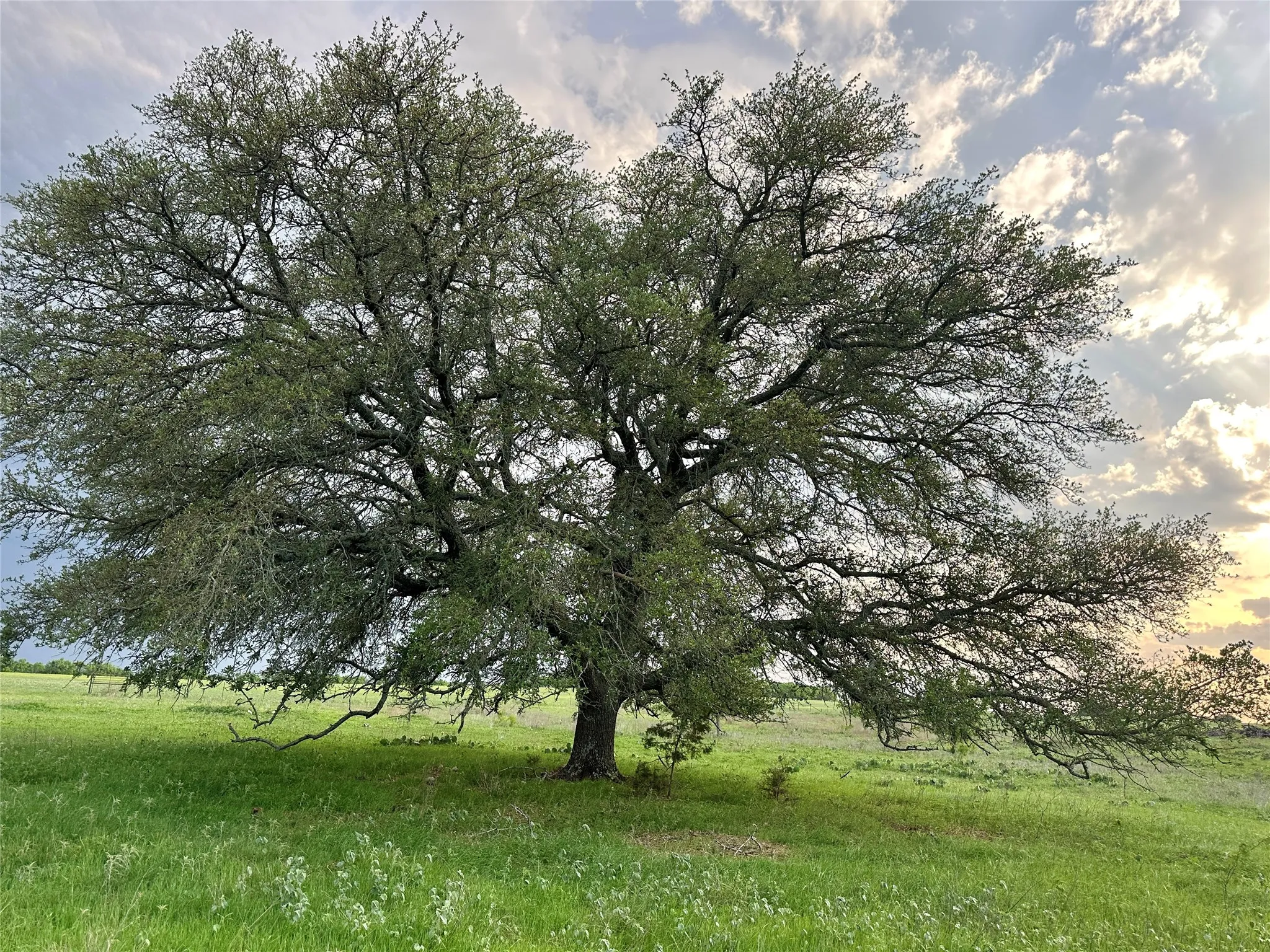 Ranch For Sale in Mills County , TBD FM 3023, Goldthwaite, Texas 76844, 0, 0, Garage spaces, 0 Sqft, built in 0, mls#21405768, Real Estate Agent in Goldthwaite, Homes For Sale in Mills county, Homes For Sale in Goldthwaite, Realtor in Goldthwaite Texas, Real Estate Brokerage Independent Realty Texas, Luminita Cordes Realtor