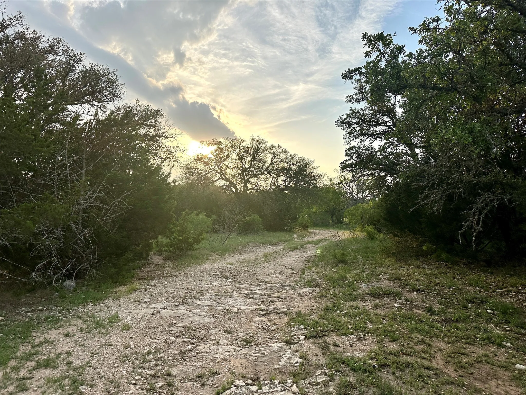 Ranch For Sale in Mills County , TBD FM 3023, Goldthwaite, Texas 76844, 0, 0, Garage spaces, 0 Sqft, built in 0, mls#21405768, Real Estate Agent in Goldthwaite, Homes For Sale in Mills county, Homes For Sale in Goldthwaite, Realtor in Goldthwaite Texas, Real Estate Brokerage Independent Realty Texas, Luminita Cordes Realtor