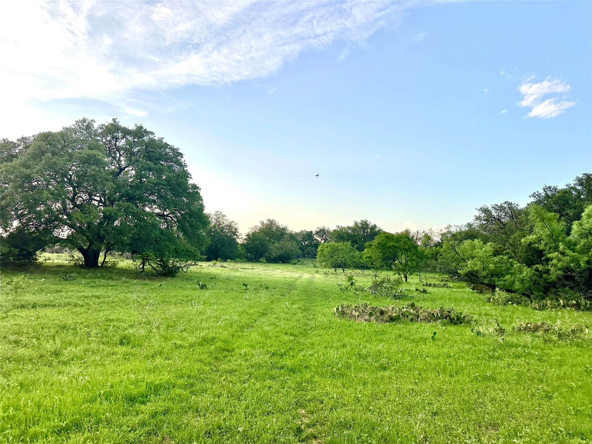 Ranch For Sale in Mills County , TBD FM 3023, Goldthwaite, Texas 76844, 0, 0, Garage spaces, 0 Sqft, built in 0, mls#21405768, Real Estate Agent in Goldthwaite, Homes For Sale in Mills county, Homes For Sale in Goldthwaite, Realtor in Goldthwaite Texas, Real Estate Brokerage Independent Realty Texas, Luminita Cordes Realtor