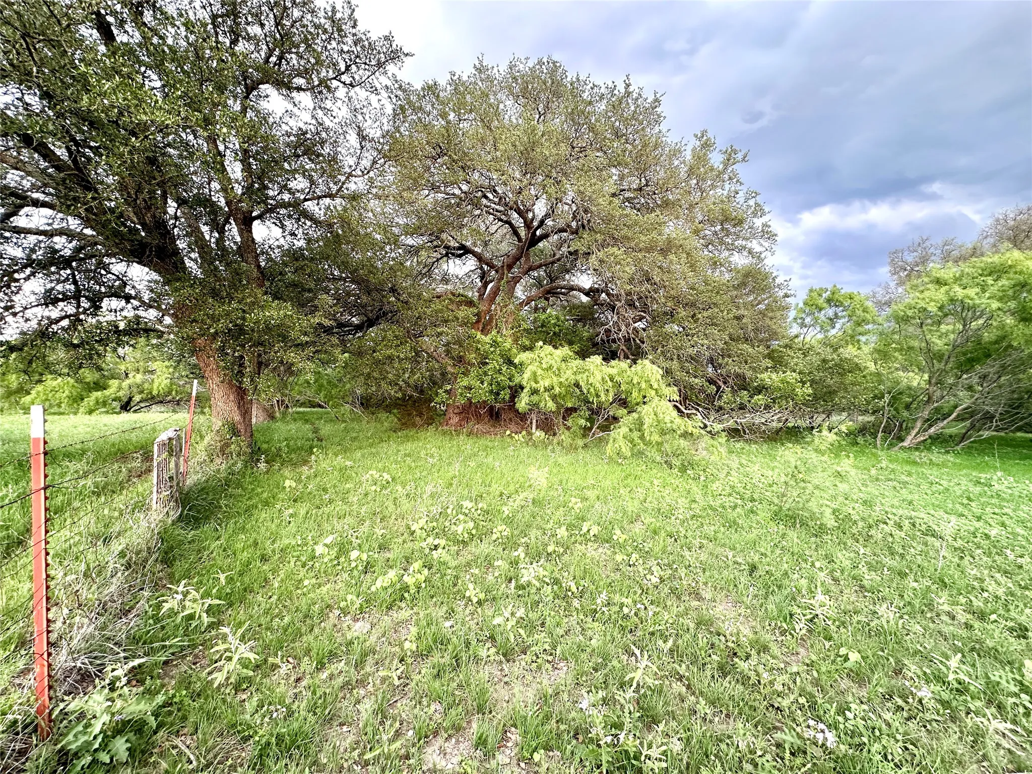Ranch For Sale in Mills County , TBD FM 3023, Goldthwaite, Texas 76844, 0, 0, Garage spaces, 0 Sqft, built in 0, mls#21405768, Real Estate Agent in Goldthwaite, Homes For Sale in Mills county, Homes For Sale in Goldthwaite, Realtor in Goldthwaite Texas, Real Estate Brokerage Independent Realty Texas, Luminita Cordes Realtor