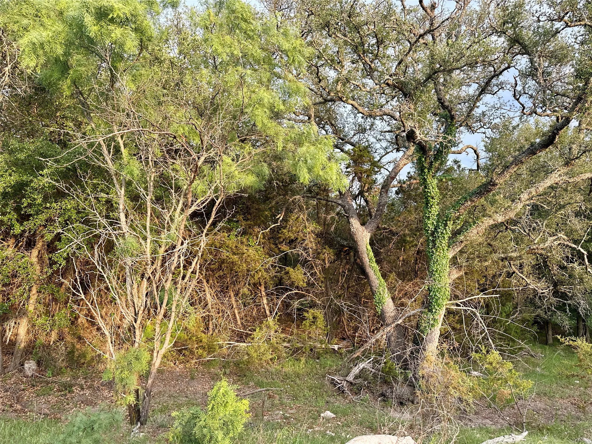 Ranch For Sale in Mills County , TBD FM 3023, Goldthwaite, Texas 76844, 0, 0, Garage spaces, 0 Sqft, built in 0, mls#21405768, Real Estate Agent in Goldthwaite, Homes For Sale in Mills county, Homes For Sale in Goldthwaite, Realtor in Goldthwaite Texas, Real Estate Brokerage Independent Realty Texas, Luminita Cordes Realtor