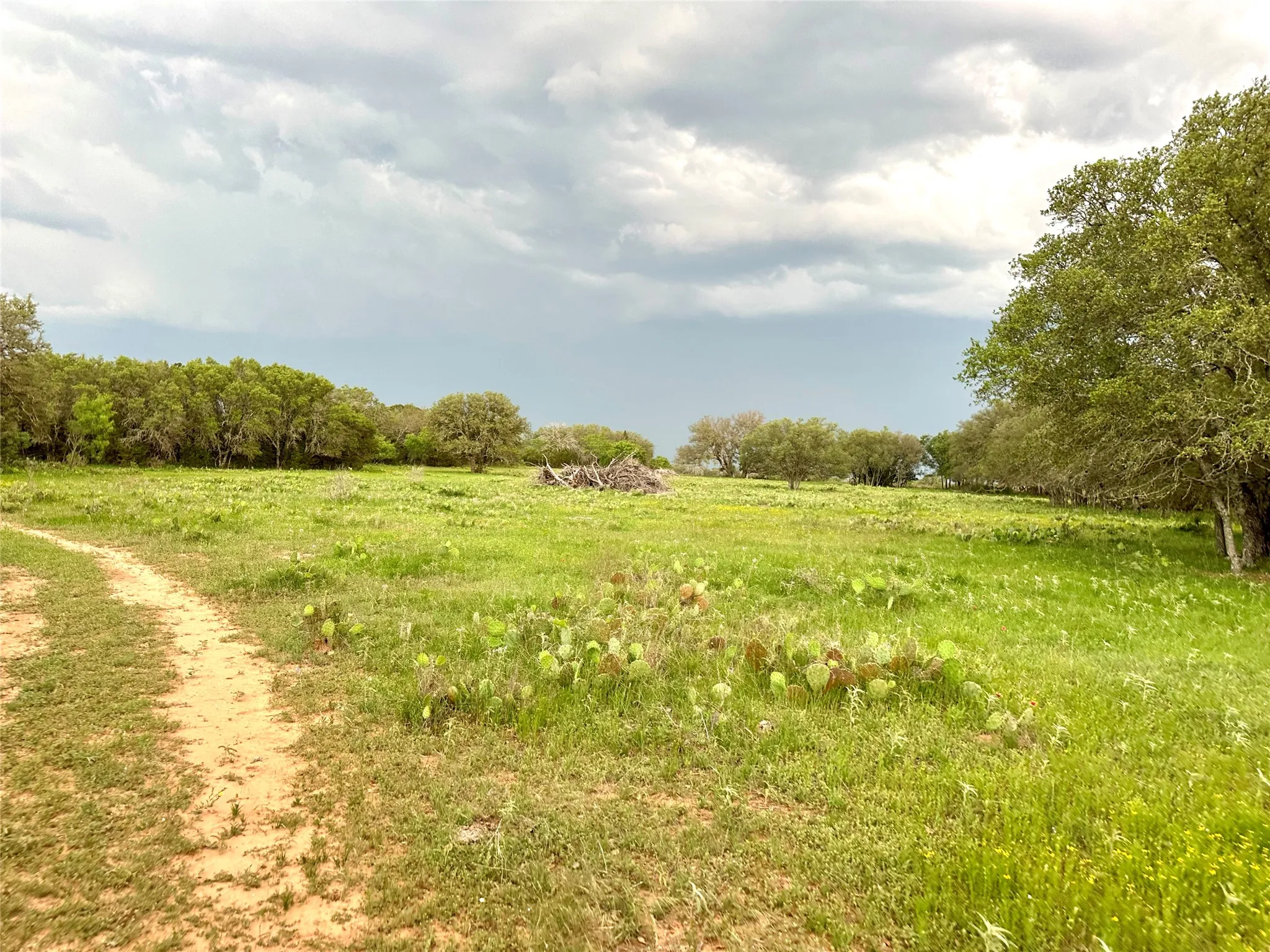 Ranch For Sale in Mills County , TBD FM 3023, Goldthwaite, Texas 76844, 0, 0, Garage spaces, 0 Sqft, built in 0, mls#21405768, Real Estate Agent in Goldthwaite, Homes For Sale in Mills county, Homes For Sale in Goldthwaite, Realtor in Goldthwaite Texas, Real Estate Brokerage Independent Realty Texas, Luminita Cordes Realtor