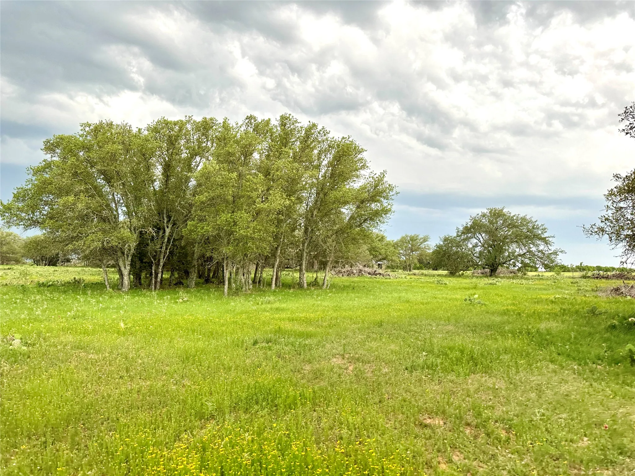 Ranch For Sale in Mills County , TBD FM 3023, Goldthwaite, Texas 76844, 0, 0, Garage spaces, 0 Sqft, built in 0, mls#21405768, Real Estate Agent in Goldthwaite, Homes For Sale in Mills county, Homes For Sale in Goldthwaite, Realtor in Goldthwaite Texas, Real Estate Brokerage Independent Realty Texas, Luminita Cordes Realtor