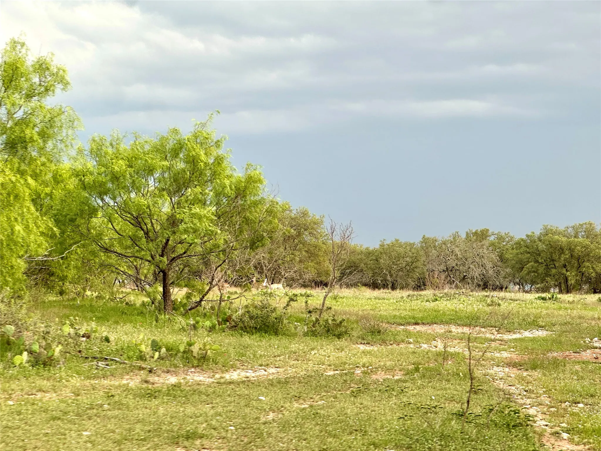 Ranch For Sale in Mills County , TBD FM 3023, Goldthwaite, Texas 76844, 0, 0, Garage spaces, 0 Sqft, built in 0, mls#21405768, Real Estate Agent in Goldthwaite, Homes For Sale in Mills county, Homes For Sale in Goldthwaite, Realtor in Goldthwaite Texas, Real Estate Brokerage Independent Realty Texas, Luminita Cordes Realtor
