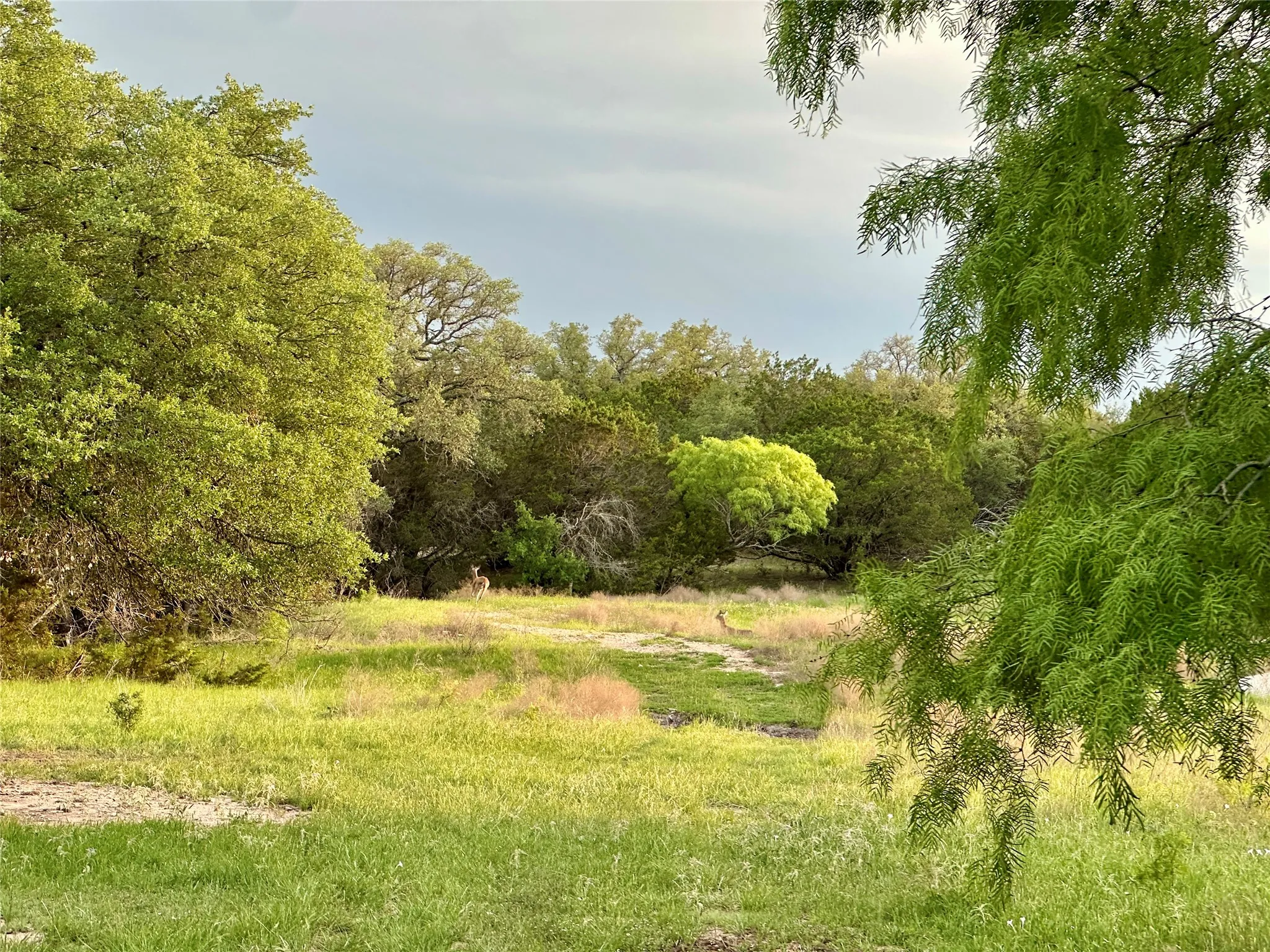 Ranch For Sale in Mills County , TBD FM 3023, Goldthwaite, Texas 76844, 0, 0, Garage spaces, 0 Sqft, built in 0, mls#21405768, Real Estate Agent in Goldthwaite, Homes For Sale in Mills county, Homes For Sale in Goldthwaite, Realtor in Goldthwaite Texas, Real Estate Brokerage Independent Realty Texas, Luminita Cordes Realtor