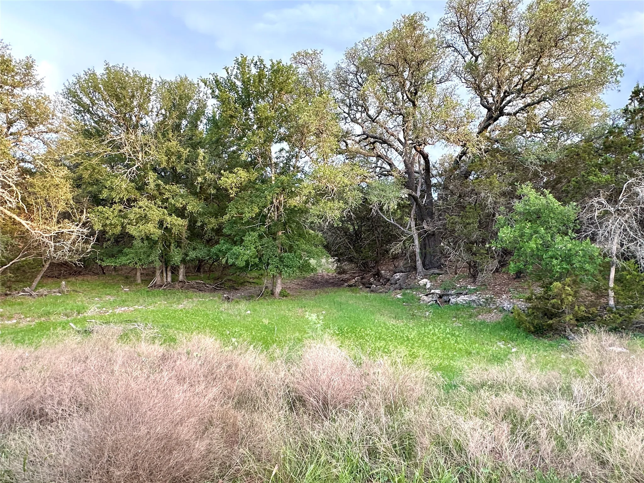 Ranch For Sale in Mills County , TBD FM 3023, Goldthwaite, Texas 76844, 0, 0, Garage spaces, 0 Sqft, built in 0, mls#21405768, Real Estate Agent in Goldthwaite, Homes For Sale in Mills county, Homes For Sale in Goldthwaite, Realtor in Goldthwaite Texas, Real Estate Brokerage Independent Realty Texas, Luminita Cordes Realtor