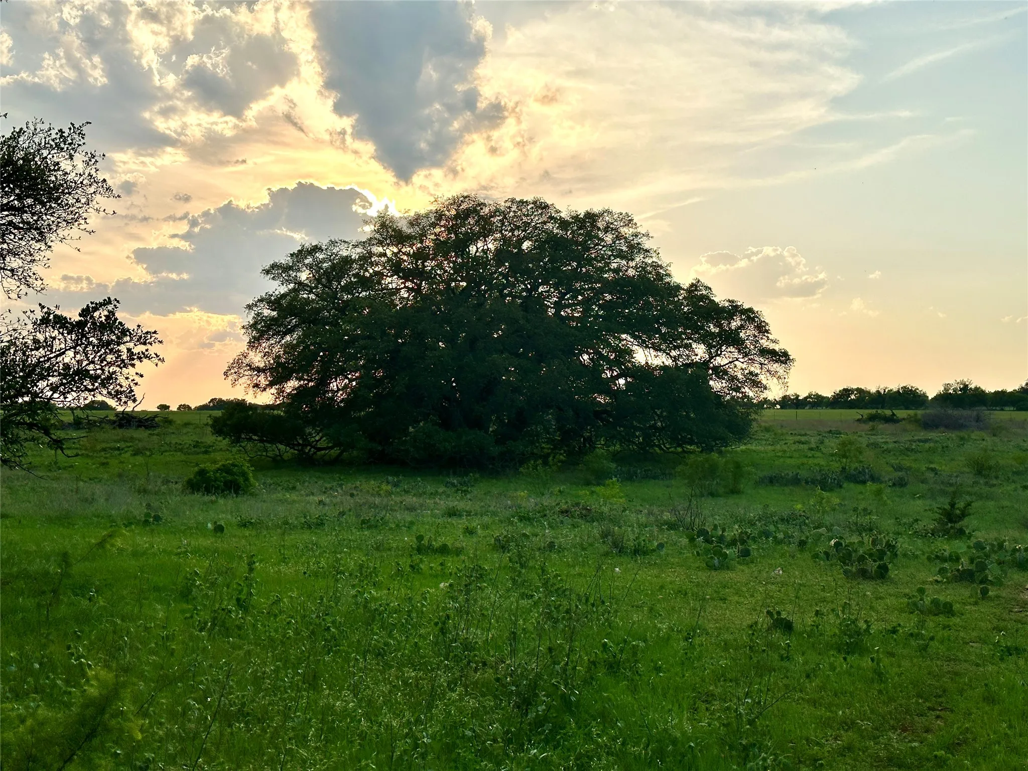 Ranch For Sale in Mills County , TBD FM 3023, Goldthwaite, Texas 76844, 0, 0, Garage spaces, 0 Sqft, built in 0, mls#21405768, Real Estate Agent in Goldthwaite, Homes For Sale in Mills county, Homes For Sale in Goldthwaite, Realtor in Goldthwaite Texas, Real Estate Brokerage Independent Realty Texas, Luminita Cordes Realtor