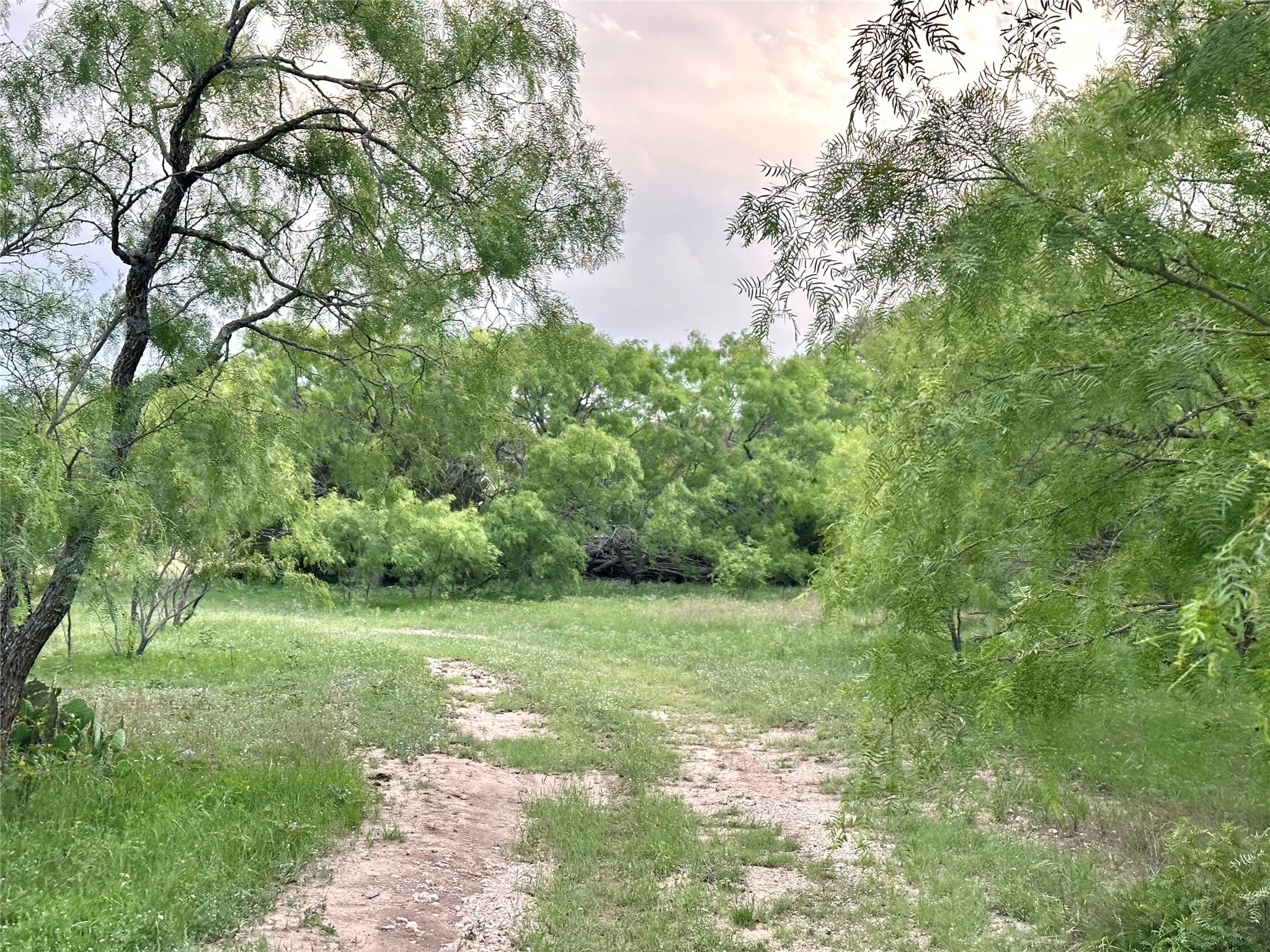 Ranch For Sale in Mills County , TBD FM 3023, Goldthwaite, Texas 76844, 0, 0, Garage spaces, 0 Sqft, built in 0, mls#21405768, Real Estate Agent in Goldthwaite, Homes For Sale in Mills county, Homes For Sale in Goldthwaite, Realtor in Goldthwaite Texas, Real Estate Brokerage Independent Realty Texas, Luminita Cordes Realtor