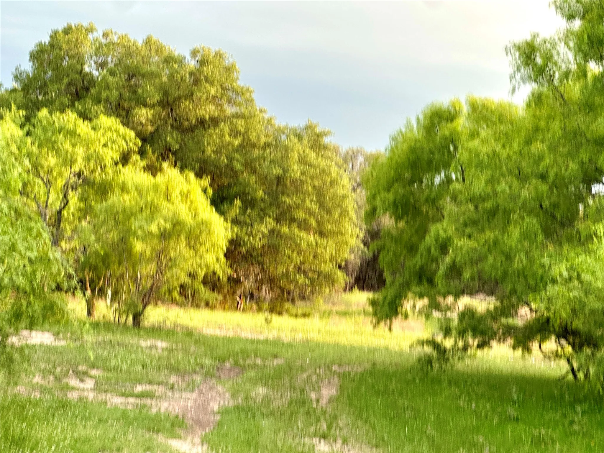 Ranch For Sale in Mills County , TBD FM 3023, Goldthwaite, Texas 76844, 0, 0, Garage spaces, 0 Sqft, built in 0, mls#21405768, Real Estate Agent in Goldthwaite, Homes For Sale in Mills county, Homes For Sale in Goldthwaite, Realtor in Goldthwaite Texas, Real Estate Brokerage Independent Realty Texas, Luminita Cordes Realtor
