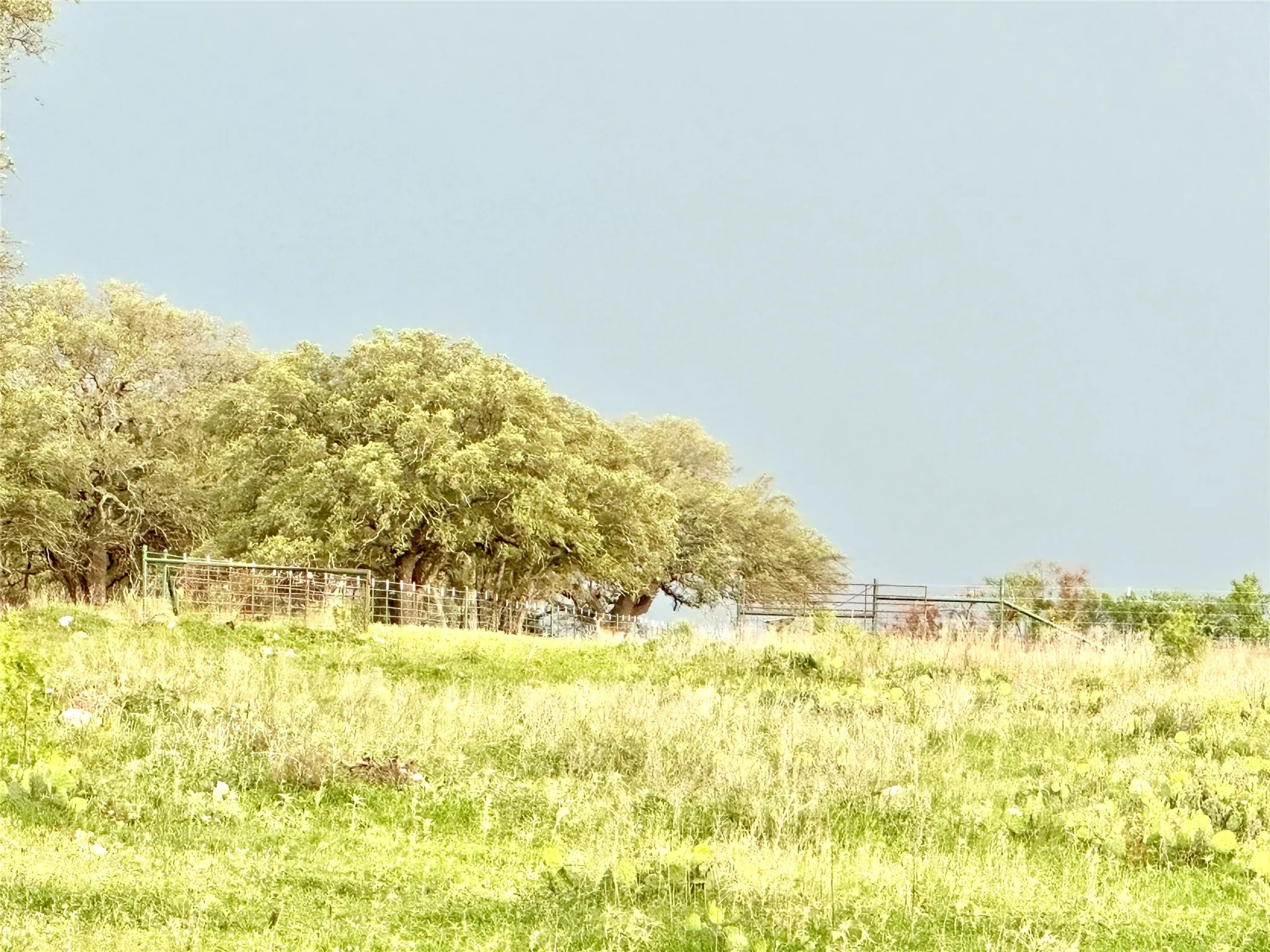 Ranch For Sale in Mills County , TBD FM 3023, Goldthwaite, Texas 76844, 0, 0, Garage spaces, 0 Sqft, built in 0, mls#21405768, Real Estate Agent in Goldthwaite, Homes For Sale in Mills county, Homes For Sale in Goldthwaite, Realtor in Goldthwaite Texas, Real Estate Brokerage Independent Realty Texas, Luminita Cordes Realtor