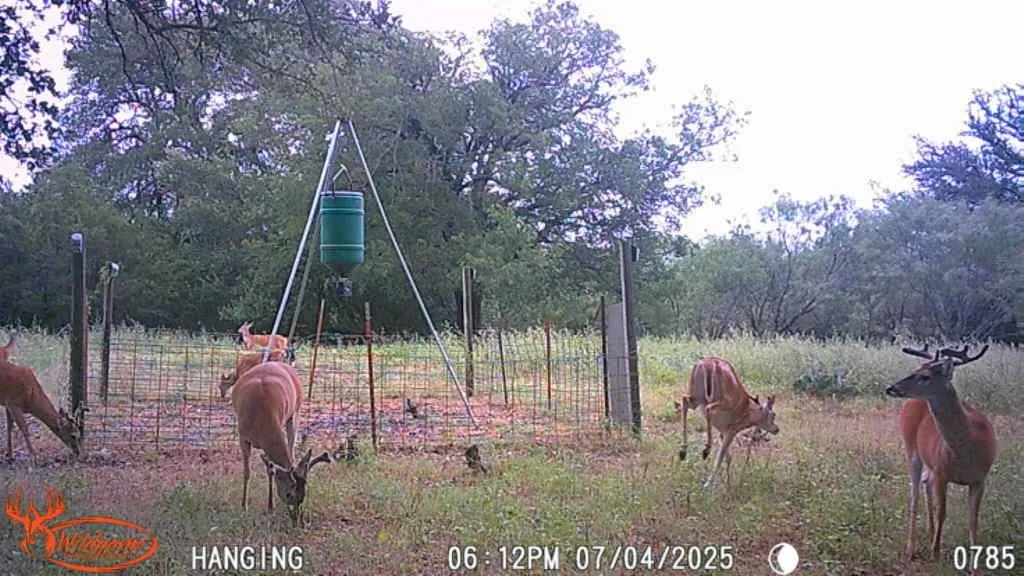 Ranch For Sale in Mills County , TBD FM 3023, Goldthwaite, Texas 76844, 0, 0, Garage spaces, 0 Sqft, built in 0, mls#21405768, Real Estate Agent in Goldthwaite, Homes For Sale in Mills county, Homes For Sale in Goldthwaite, Realtor in Goldthwaite Texas, Real Estate Brokerage Independent Realty Texas, Luminita Cordes Realtor