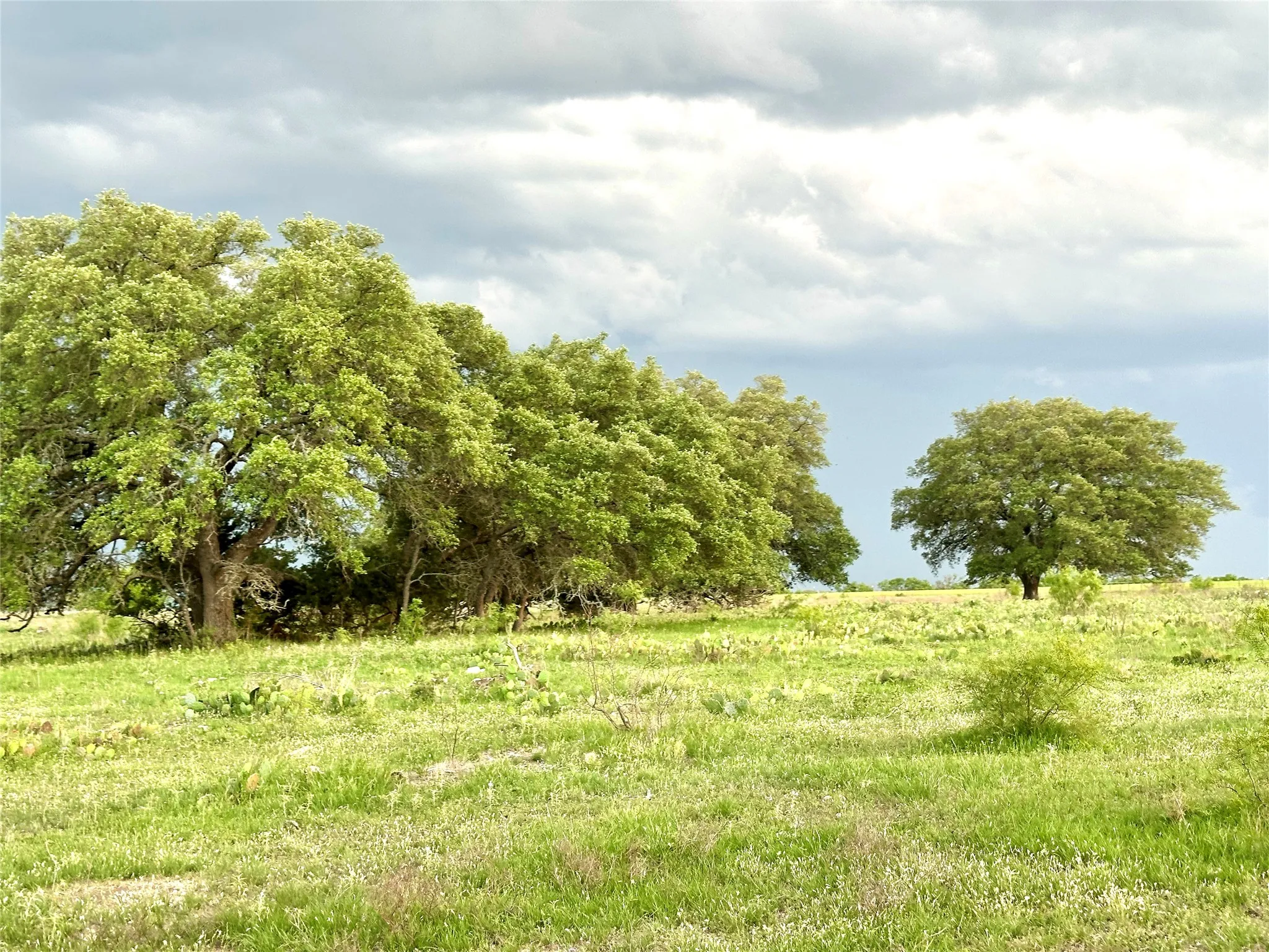 Ranch For Sale in Mills County , TBD FM 3023, Goldthwaite, Texas 76844, 0, 0, Garage spaces, 0 Sqft, built in 0, mls#21405768, Real Estate Agent in Goldthwaite, Homes For Sale in Mills county, Homes For Sale in Goldthwaite, Realtor in Goldthwaite Texas, Real Estate Brokerage Independent Realty Texas, Luminita Cordes Realtor