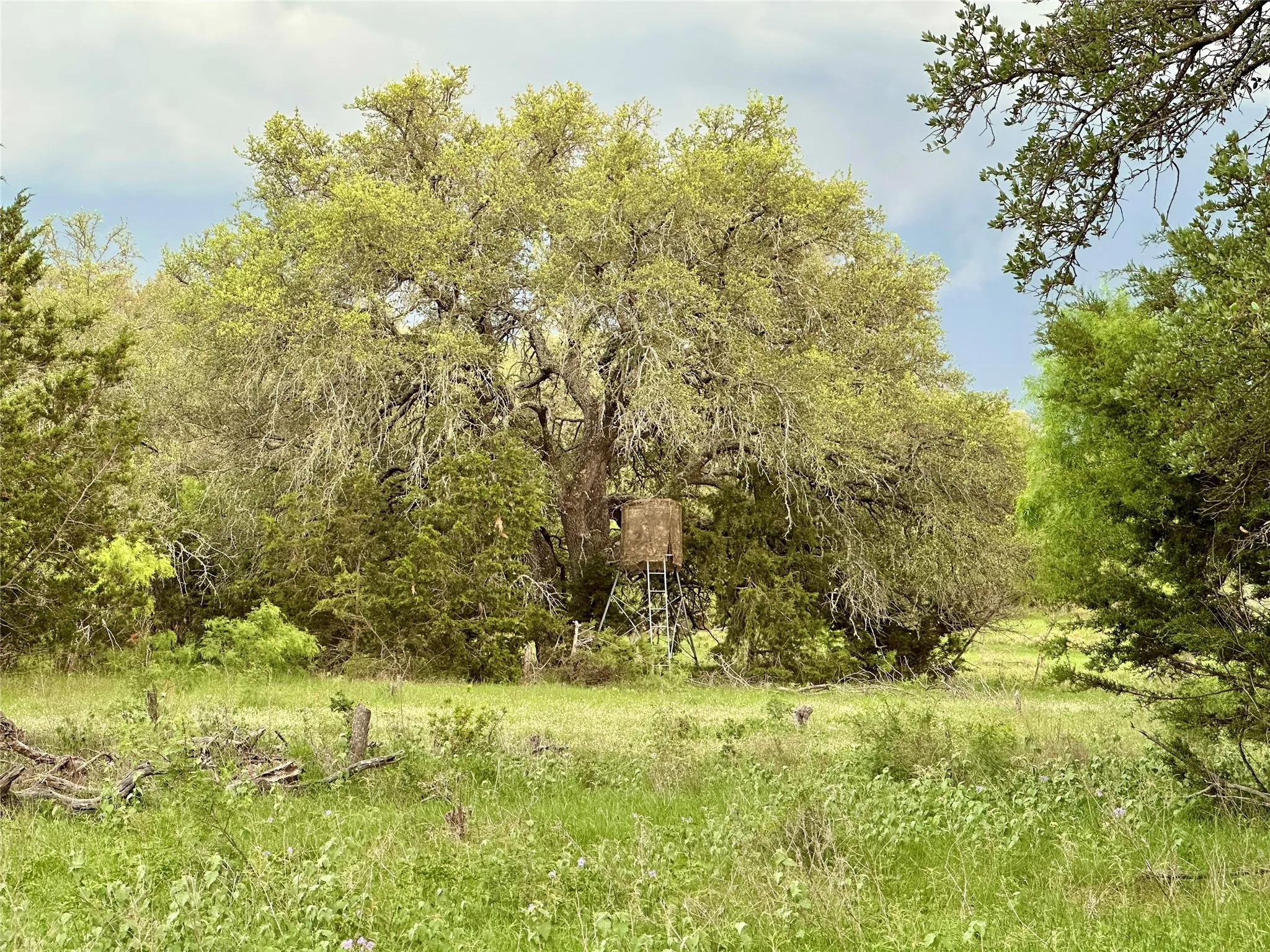 Ranch For Sale in Mills County , TBD FM 3023, Goldthwaite, Texas 76844, 0, 0, Garage spaces, 0 Sqft, built in 0, mls#21405768, Real Estate Agent in Goldthwaite, Homes For Sale in Mills county, Homes For Sale in Goldthwaite, Realtor in Goldthwaite Texas, Real Estate Brokerage Independent Realty Texas, Luminita Cordes Realtor