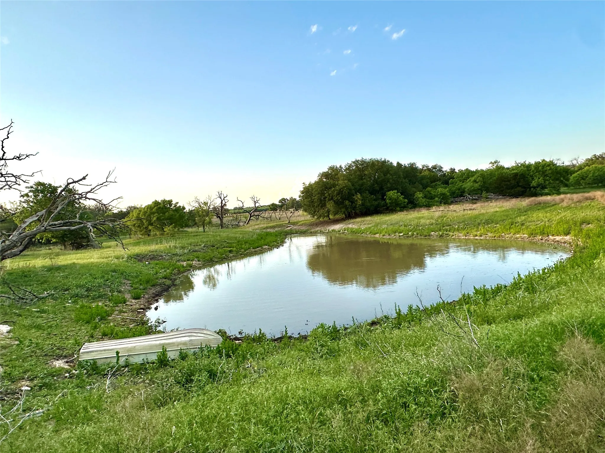 Ranch For Sale in Mills County , TBD FM 3023, Goldthwaite, Texas 76844, 0, 0, Garage spaces, 0 Sqft, built in 0, mls#21405768, Real Estate Agent in Goldthwaite, Homes For Sale in Mills county, Homes For Sale in Goldthwaite, Realtor in Goldthwaite Texas, Real Estate Brokerage Independent Realty Texas, Luminita Cordes Realtor