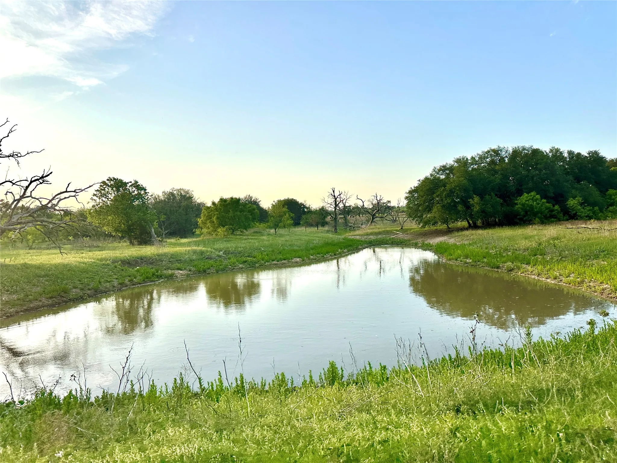 Ranch For Sale in Mills County , TBD FM 3023, Goldthwaite, Texas 76844, 0, 0, Garage spaces, 0 Sqft, built in 0, mls#21405768, Real Estate Agent in Goldthwaite, Homes For Sale in Mills county, Homes For Sale in Goldthwaite, Realtor in Goldthwaite Texas, Real Estate Brokerage Independent Realty Texas, Luminita Cordes Realtor