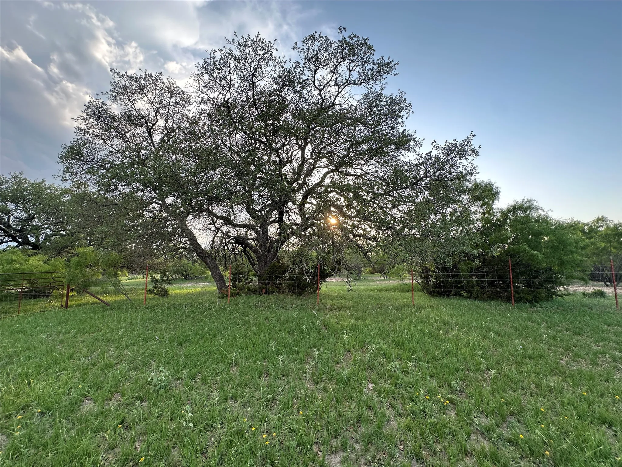 Ranch For Sale in Mills County , TBD FM 3023, Goldthwaite, Texas 76844, 0, 0, Garage spaces, 0 Sqft, built in 0, mls#21405768, Real Estate Agent in Goldthwaite, Homes For Sale in Mills county, Homes For Sale in Goldthwaite, Realtor in Goldthwaite Texas, Real Estate Brokerage Independent Realty Texas, Luminita Cordes Realtor
