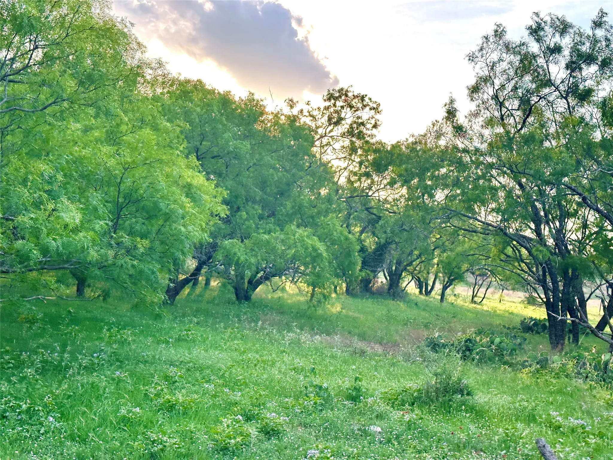 Ranch For Sale in Mills County , TBD FM 3023, Goldthwaite, Texas 76844, 0, 0, Garage spaces, 0 Sqft, built in 0, mls#21405768, Real Estate Agent in Goldthwaite, Homes For Sale in Mills county, Homes For Sale in Goldthwaite, Realtor in Goldthwaite Texas, Real Estate Brokerage Independent Realty Texas, Luminita Cordes Realtor