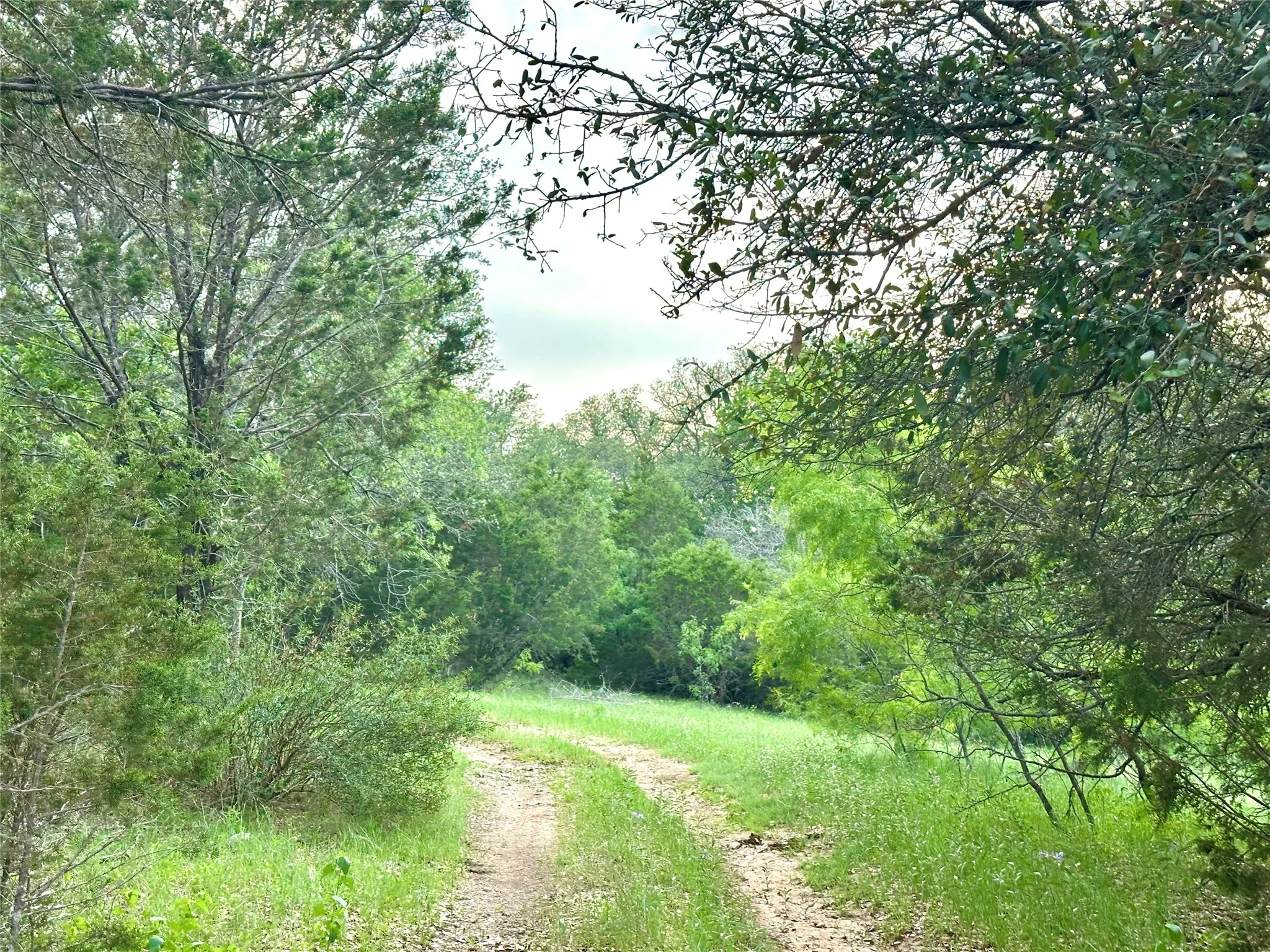 Ranch For Sale in Mills County , TBD FM 3023, Goldthwaite, Texas 76844, 0, 0, Garage spaces, 0 Sqft, built in 0, mls#21405768, Real Estate Agent in Goldthwaite, Homes For Sale in Mills county, Homes For Sale in Goldthwaite, Realtor in Goldthwaite Texas, Real Estate Brokerage Independent Realty Texas, Luminita Cordes Realtor