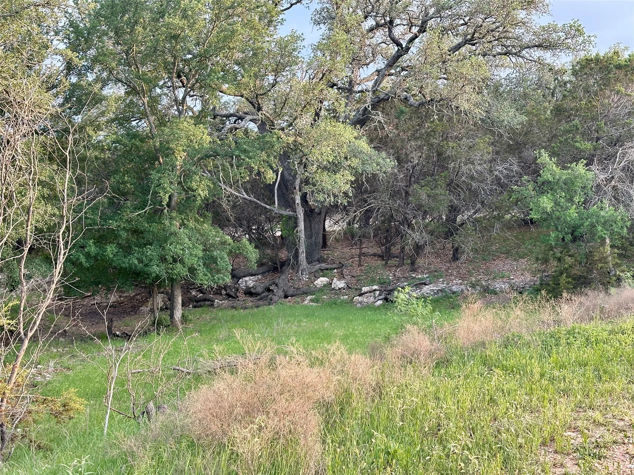 Ranch For Sale in Mills County , TBD FM 3023, Goldthwaite, Texas 76844, 0, 0, Garage spaces, 0 Sqft, built in 0, mls#21405768, Real Estate Agent in Goldthwaite, Homes For Sale in Mills county, Homes For Sale in Goldthwaite, Realtor in Goldthwaite Texas, Real Estate Brokerage Independent Realty Texas, Luminita Cordes Realtor