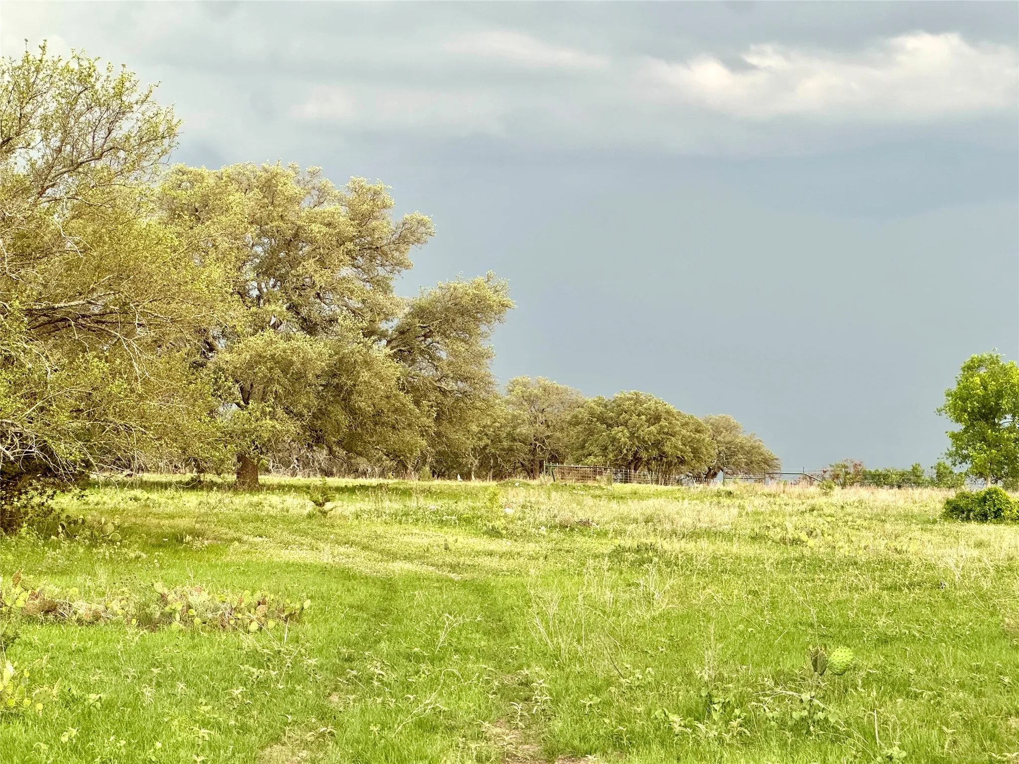 Ranch For Sale in Mills County , TBD FM 3023, Goldthwaite, Texas 76844, 0, 0, Garage spaces, 0 Sqft, built in 0, mls#21405768, Real Estate Agent in Goldthwaite, Homes For Sale in Mills county, Homes For Sale in Goldthwaite, Realtor in Goldthwaite Texas, Real Estate Brokerage Independent Realty Texas, Luminita Cordes Realtor