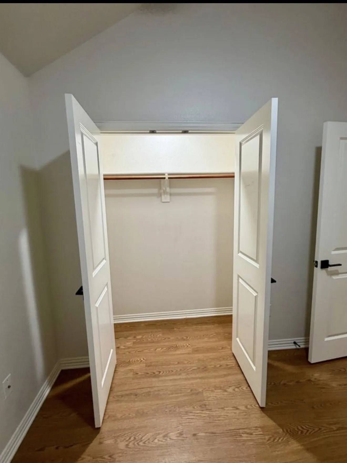 Closet featuring a hanging rod and upper shelf, wood-finish flooring, white trim, and a paneled door