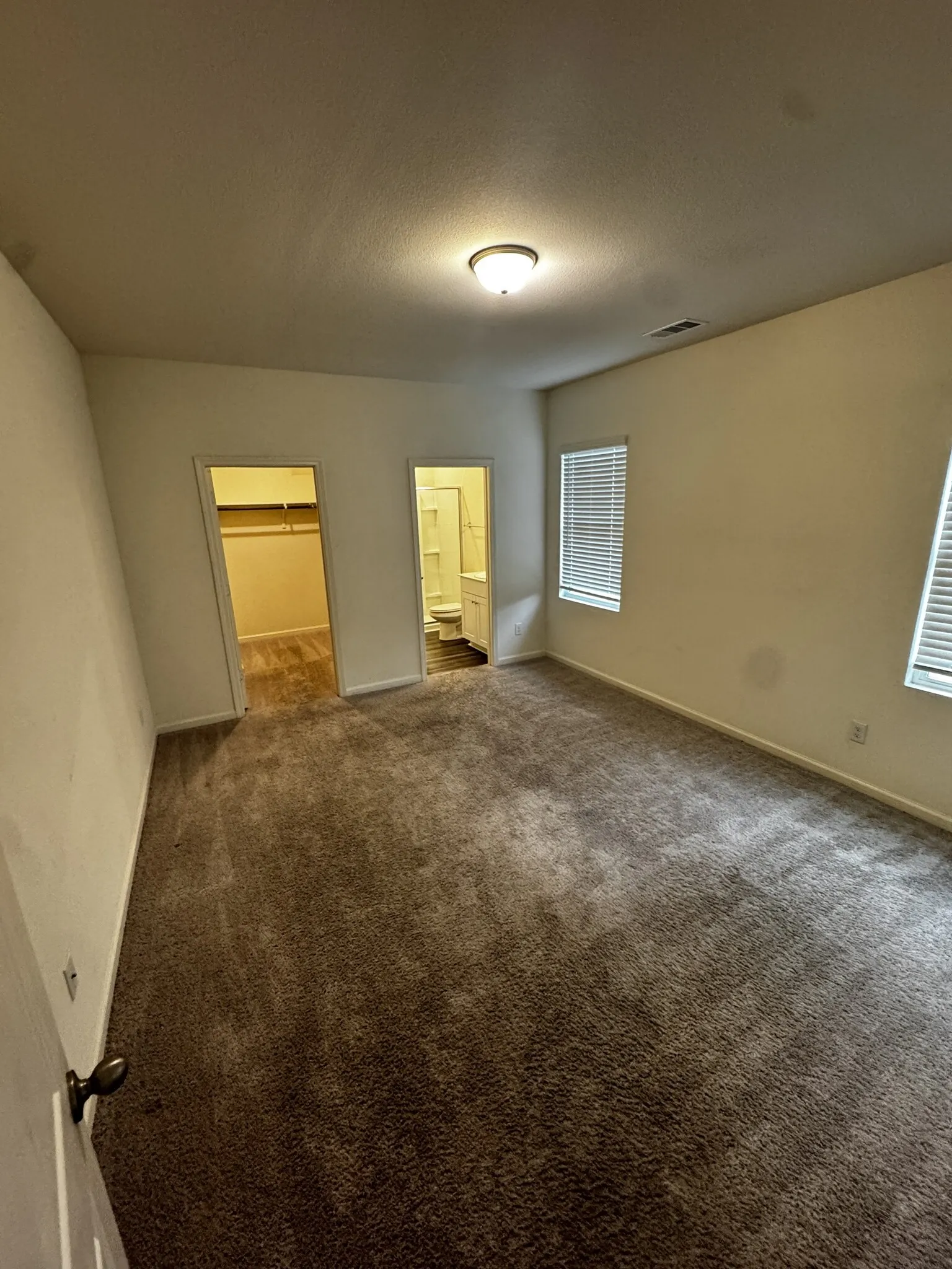Carpeted flooring, two windows with blinds, flush mount ceiling light fixture, and two doorways