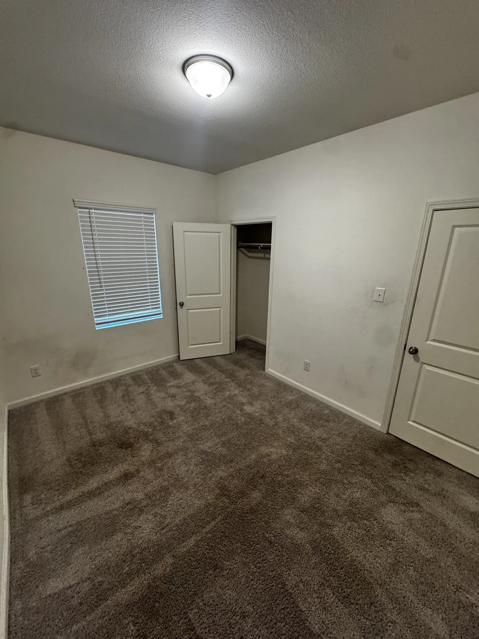 Wall-to-wall carpeting with light-colored walls