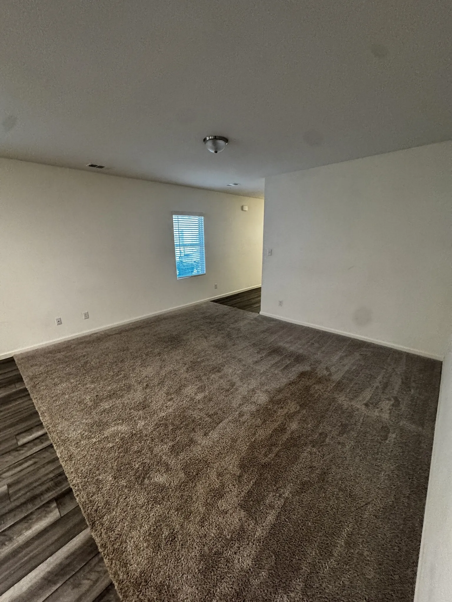 Neutral wall tones, recessed lighting, flush-mount ceiling fixture, window with blinds, and a combination of wood-finish flooring and carpeting