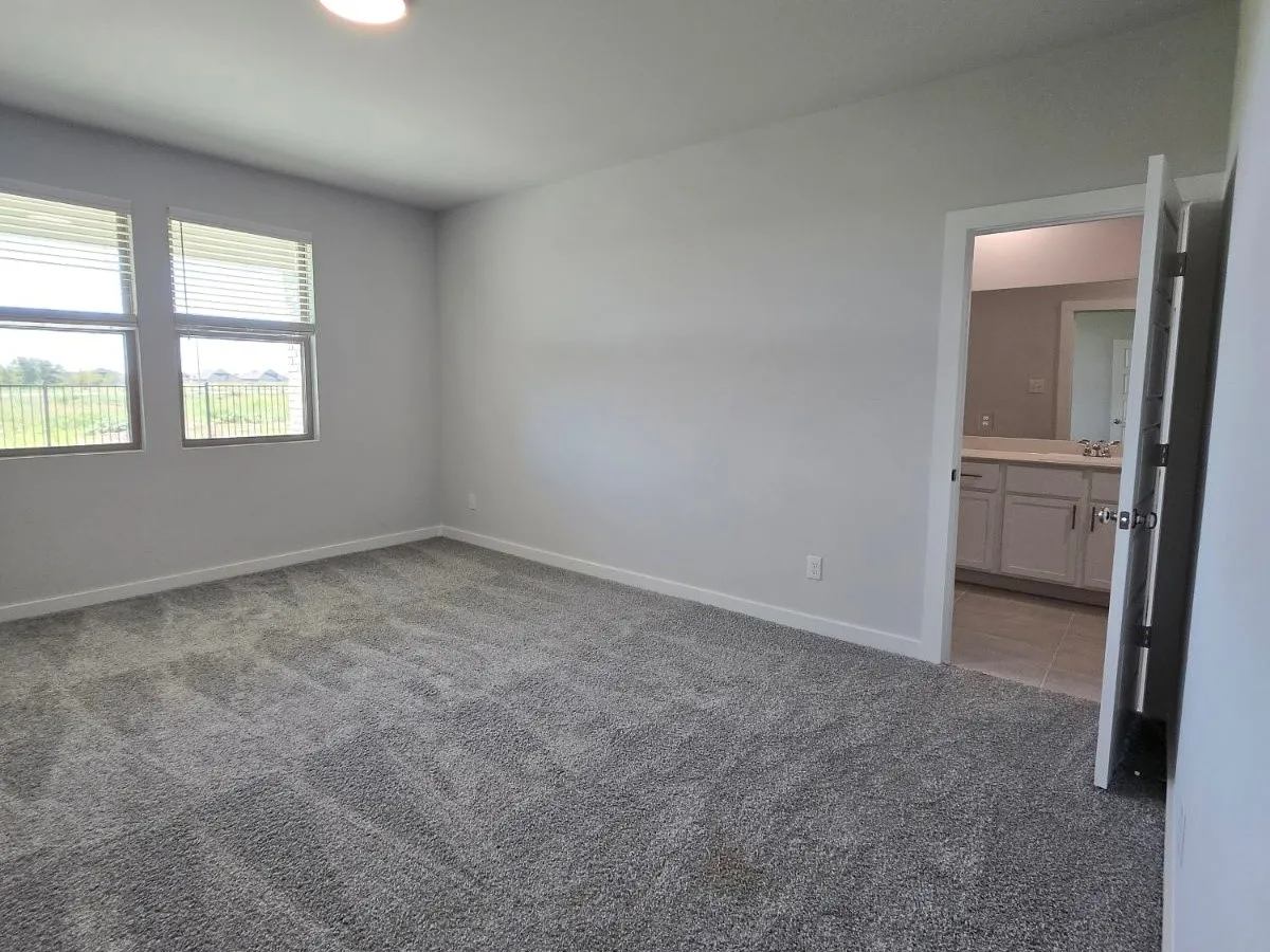 Plush gray carpeting, two large windows, a flush-mount ceiling light, and access to a bathroom featuring a vanity with a light-colored countertop