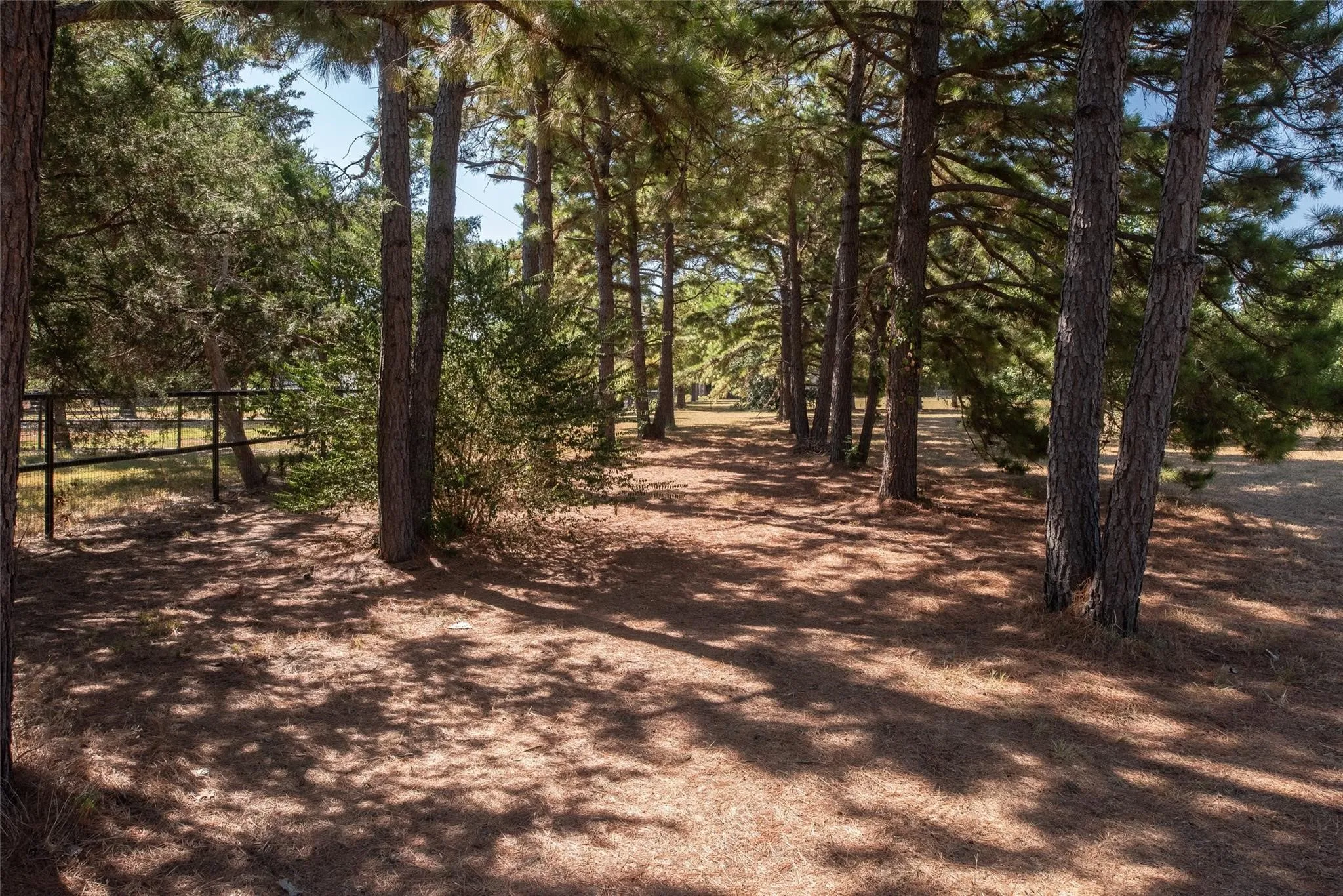 Improved Land For Sale in Collin County , 440 Holly Lane, Lucas, Texas 75002, 0, 0, Garage spaces, 0 Sqft, built in 1981, mls#21405844, Real Estate Agent in Lucas, Homes For Sale in Collin county, Homes For Sale in Lucas, Realtor in Lucas Texas, Real Estate Brokerage Independent Realty Texas, Luminita Cordes Realtor