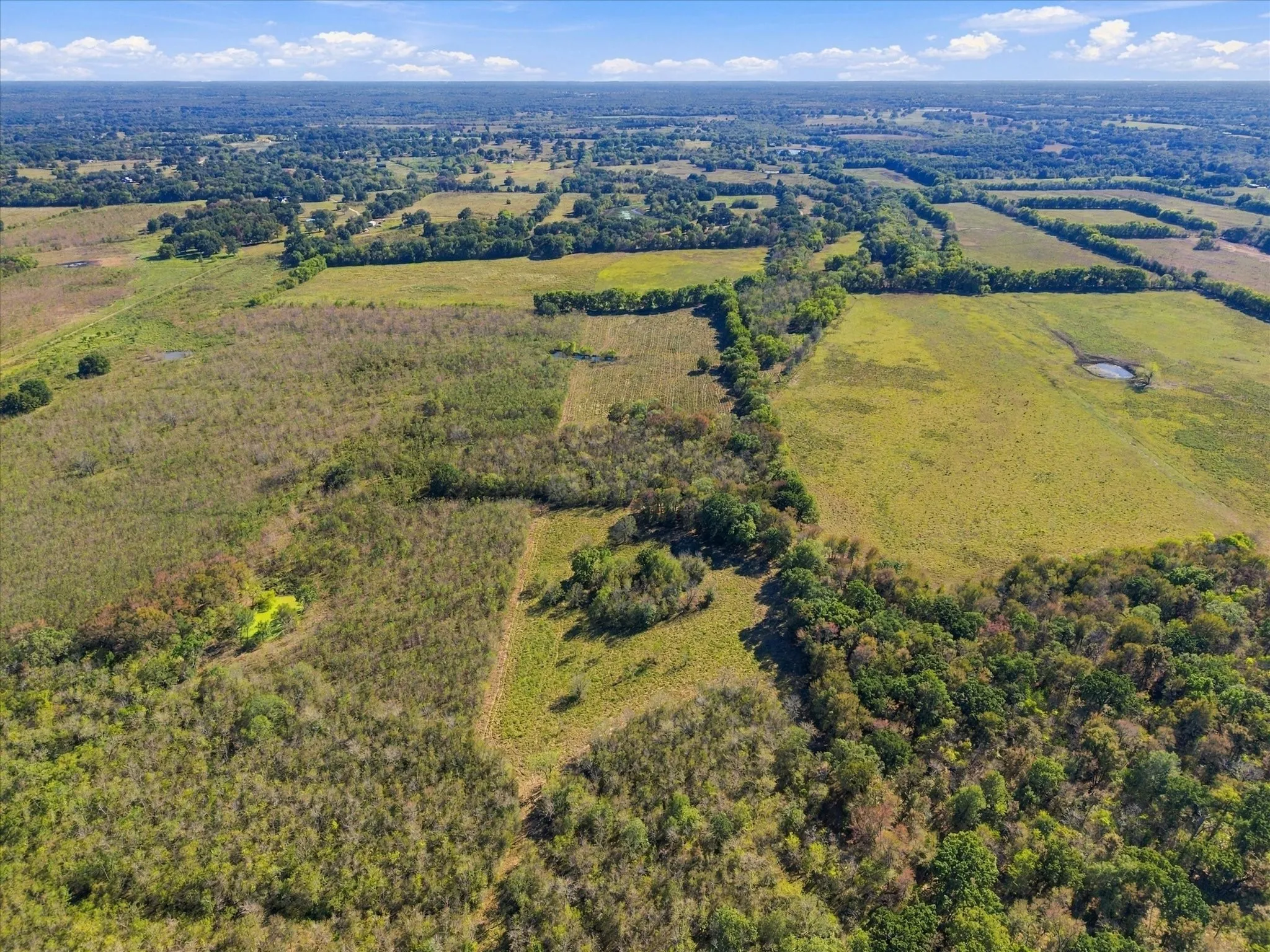 Unimproved Land For Sale in Hopkins County , 000 County Road 4612, Sulphur Springs, Texas 75482, 0, 0, Garage spaces, 0 Sqft, built in 0, mls#21405858, Real Estate Agent in Sulphur Springs, Homes For Sale in Hopkins county, Homes For Sale in Sulphur Springs, Realtor in Sulphur Springs Texas, Real Estate Brokerage Independent Realty Texas, Luminita Cordes Realtor