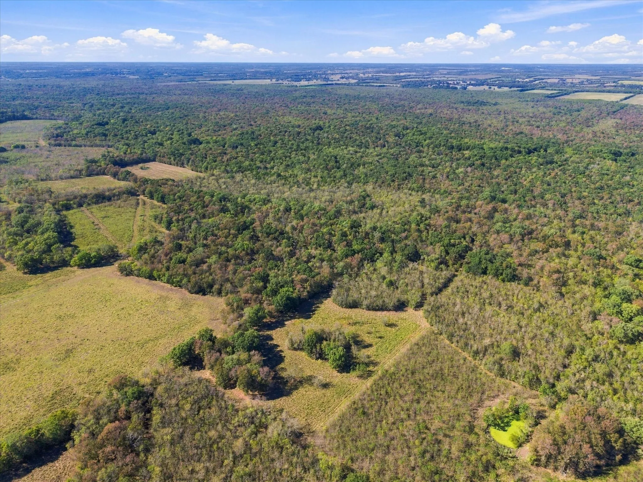 Unimproved Land For Sale in Hopkins County , 000 County Road 4612, Sulphur Springs, Texas 75482, 0, 0, Garage spaces, 0 Sqft, built in 0, mls#21405858, Real Estate Agent in Sulphur Springs, Homes For Sale in Hopkins county, Homes For Sale in Sulphur Springs, Realtor in Sulphur Springs Texas, Real Estate Brokerage Independent Realty Texas, Luminita Cordes Realtor