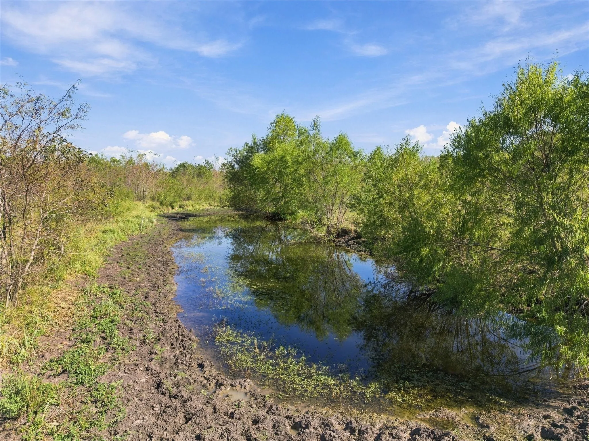 Unimproved Land For Sale in Hopkins County , 000 County Road 4612, Sulphur Springs, Texas 75482, 0, 0, Garage spaces, 0 Sqft, built in 0, mls#21405858, Real Estate Agent in Sulphur Springs, Homes For Sale in Hopkins county, Homes For Sale in Sulphur Springs, Realtor in Sulphur Springs Texas, Real Estate Brokerage Independent Realty Texas, Luminita Cordes Realtor