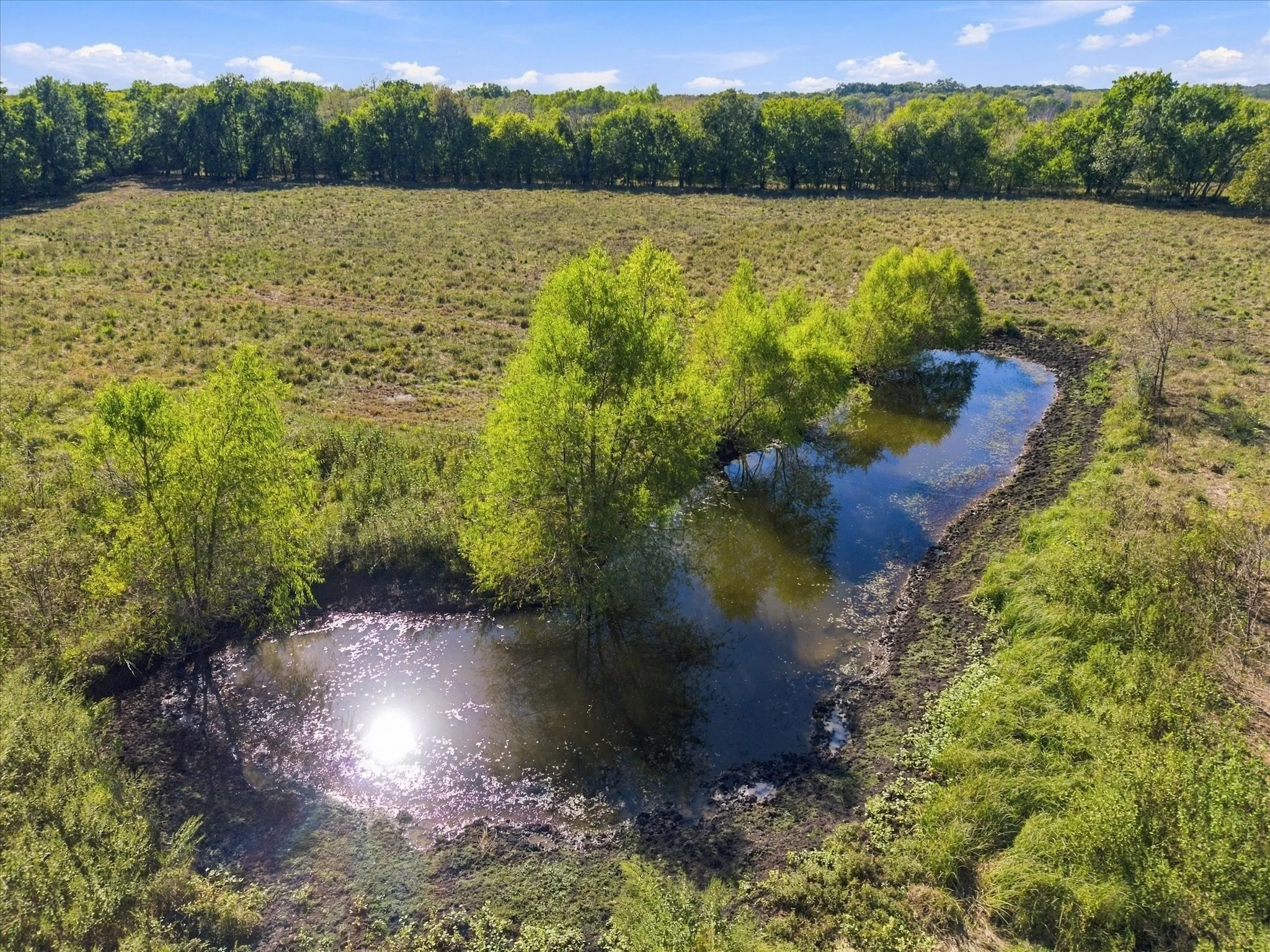 Unimproved Land For Sale in Hopkins County , 000 County Road 4612, Sulphur Springs, Texas 75482, 0, 0, Garage spaces, 0 Sqft, built in 0, mls#21405858, Real Estate Agent in Sulphur Springs, Homes For Sale in Hopkins county, Homes For Sale in Sulphur Springs, Realtor in Sulphur Springs Texas, Real Estate Brokerage Independent Realty Texas, Luminita Cordes Realtor