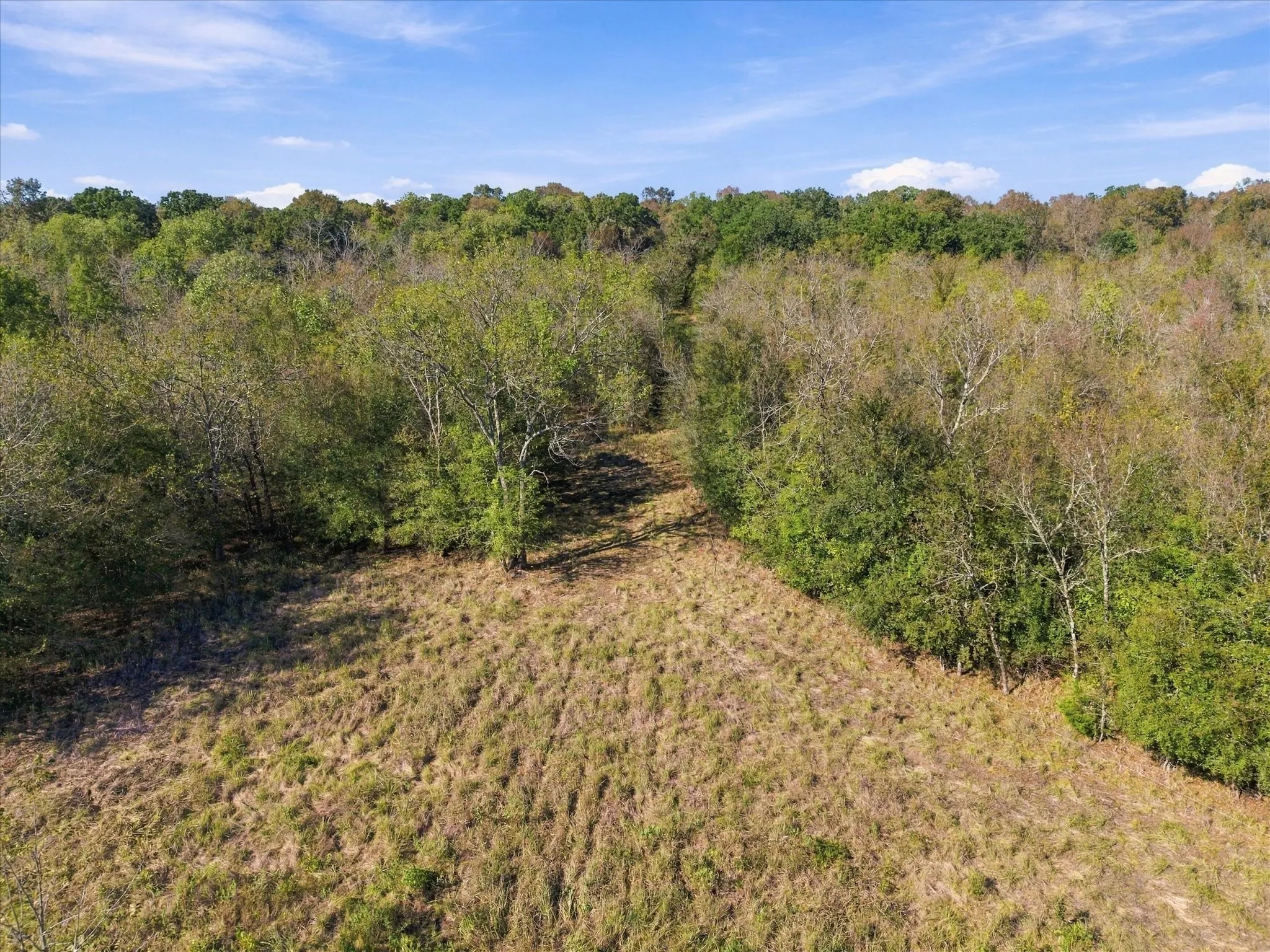 Unimproved Land For Sale in Hopkins County , 000 County Road 4612, Sulphur Springs, Texas 75482, 0, 0, Garage spaces, 0 Sqft, built in 0, mls#21405858, Real Estate Agent in Sulphur Springs, Homes For Sale in Hopkins county, Homes For Sale in Sulphur Springs, Realtor in Sulphur Springs Texas, Real Estate Brokerage Independent Realty Texas, Luminita Cordes Realtor