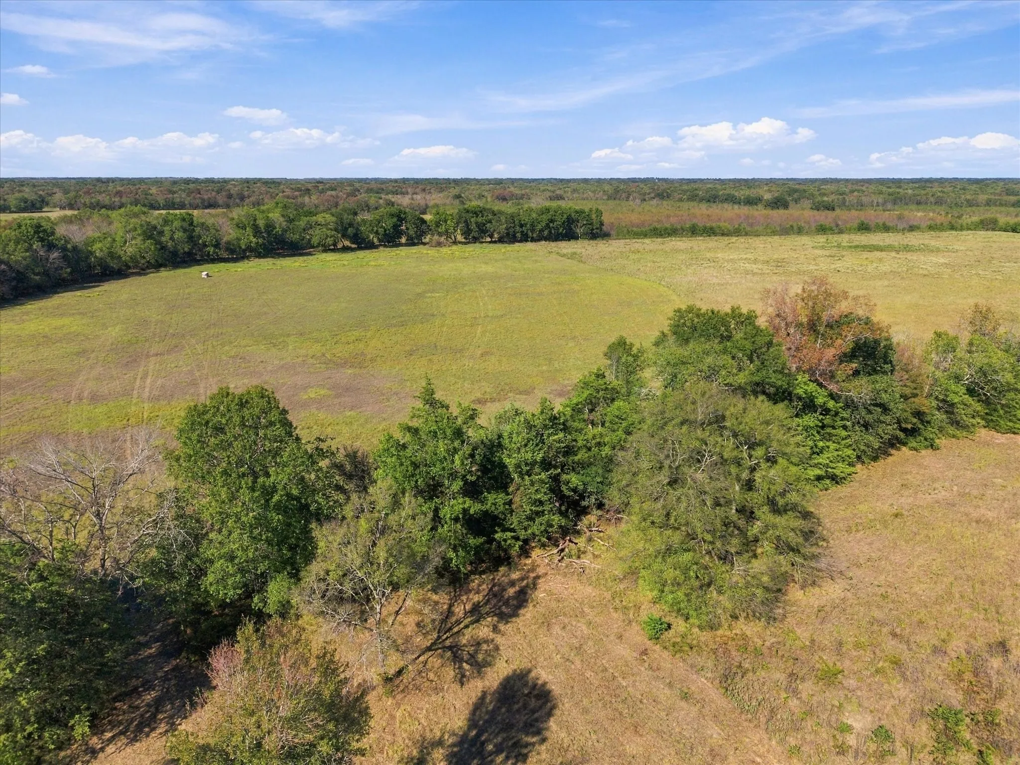 Unimproved Land For Sale in Hopkins County , 000 County Road 4612, Sulphur Springs, Texas 75482, 0, 0, Garage spaces, 0 Sqft, built in 0, mls#21405858, Real Estate Agent in Sulphur Springs, Homes For Sale in Hopkins county, Homes For Sale in Sulphur Springs, Realtor in Sulphur Springs Texas, Real Estate Brokerage Independent Realty Texas, Luminita Cordes Realtor