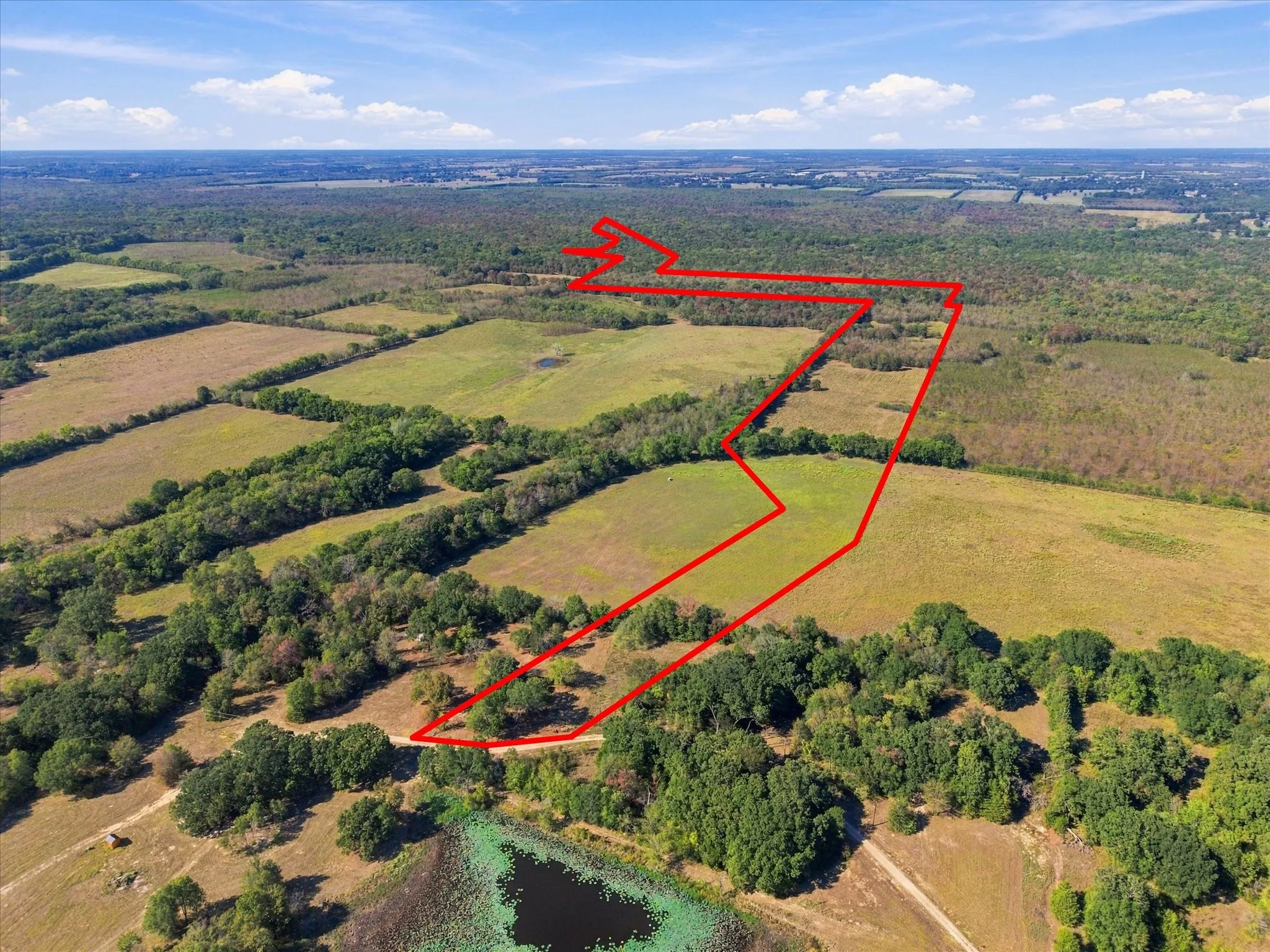 Unimproved Land For Sale in Hopkins County , 000 County Road 4612, Sulphur Springs, Texas 75482, 0, 0, Garage spaces, 0 Sqft, built in 0, mls#21405858, Real Estate Agent in Sulphur Springs, Homes For Sale in Hopkins county, Homes For Sale in Sulphur Springs, Realtor in Sulphur Springs Texas, Real Estate Brokerage Independent Realty Texas, Luminita Cordes Realtor