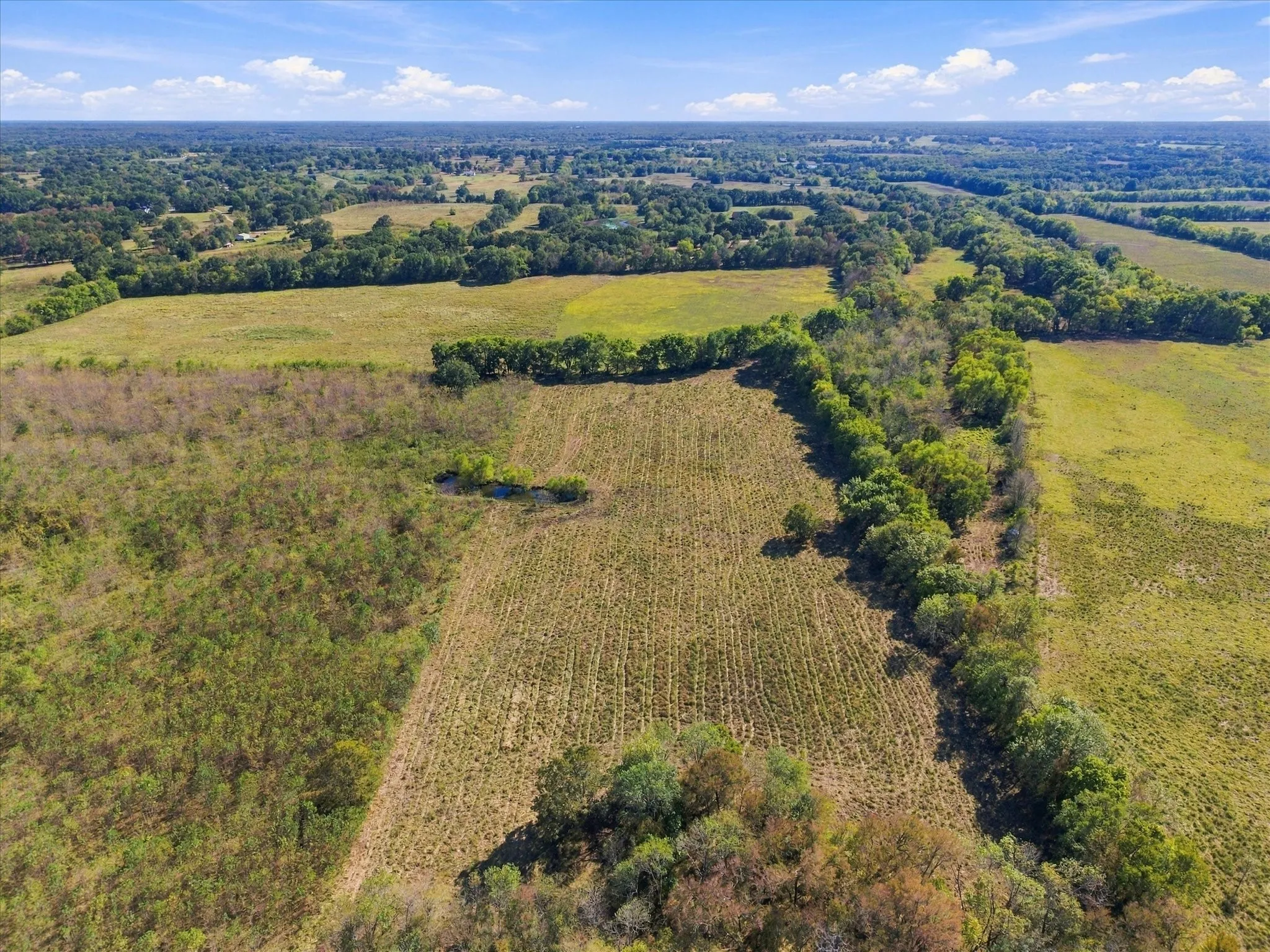 Unimproved Land For Sale in Hopkins County , 000 County Road 4612, Sulphur Springs, Texas 75482, 0, 0, Garage spaces, 0 Sqft, built in 0, mls#21405858, Real Estate Agent in Sulphur Springs, Homes For Sale in Hopkins county, Homes For Sale in Sulphur Springs, Realtor in Sulphur Springs Texas, Real Estate Brokerage Independent Realty Texas, Luminita Cordes Realtor