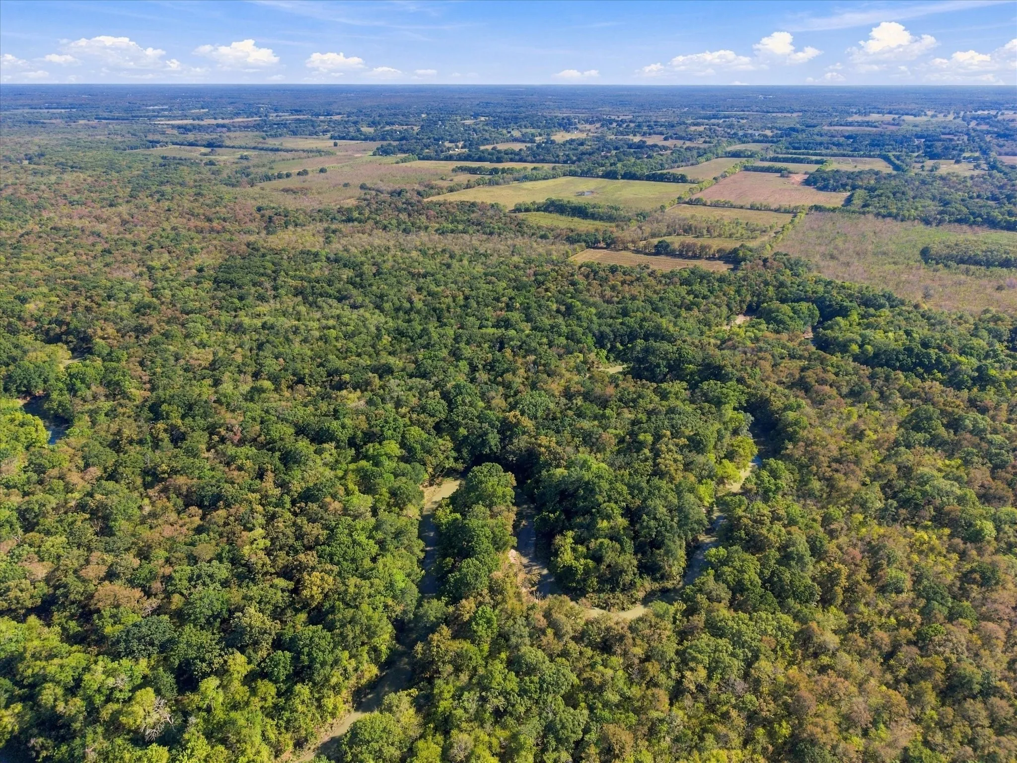 Unimproved Land For Sale in Hopkins County , 000 County Road 4612, Sulphur Springs, Texas 75482, 0, 0, Garage spaces, 0 Sqft, built in 0, mls#21405858, Real Estate Agent in Sulphur Springs, Homes For Sale in Hopkins county, Homes For Sale in Sulphur Springs, Realtor in Sulphur Springs Texas, Real Estate Brokerage Independent Realty Texas, Luminita Cordes Realtor