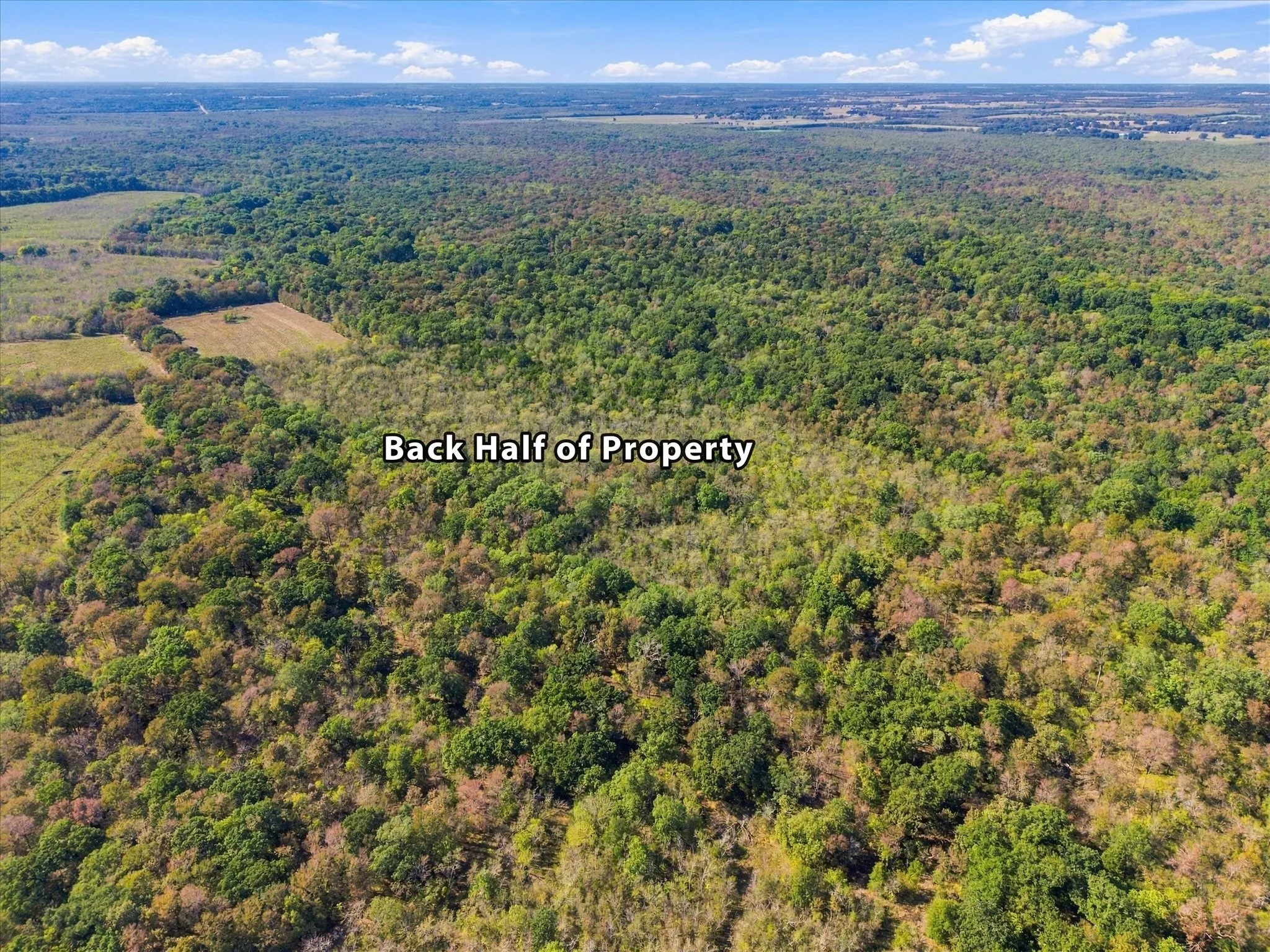 Unimproved Land For Sale in Hopkins County , 000 County Road 4612, Sulphur Springs, Texas 75482, 0, 0, Garage spaces, 0 Sqft, built in 0, mls#21405858, Real Estate Agent in Sulphur Springs, Homes For Sale in Hopkins county, Homes For Sale in Sulphur Springs, Realtor in Sulphur Springs Texas, Real Estate Brokerage Independent Realty Texas, Luminita Cordes Realtor