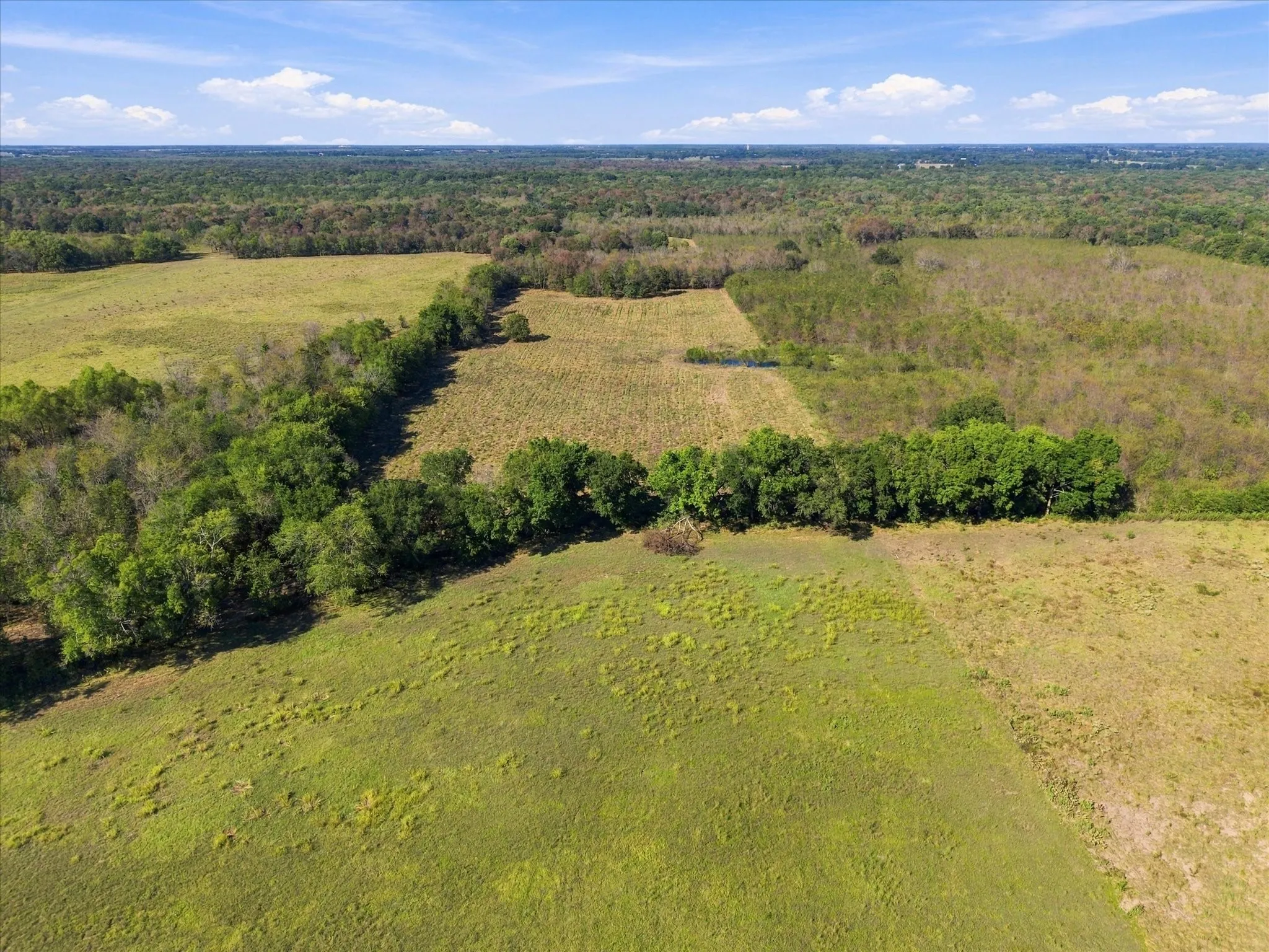 Unimproved Land For Sale in Hopkins County , 000 County Road 4612, Sulphur Springs, Texas 75482, 0, 0, Garage spaces, 0 Sqft, built in 0, mls#21405858, Real Estate Agent in Sulphur Springs, Homes For Sale in Hopkins county, Homes For Sale in Sulphur Springs, Realtor in Sulphur Springs Texas, Real Estate Brokerage Independent Realty Texas, Luminita Cordes Realtor
