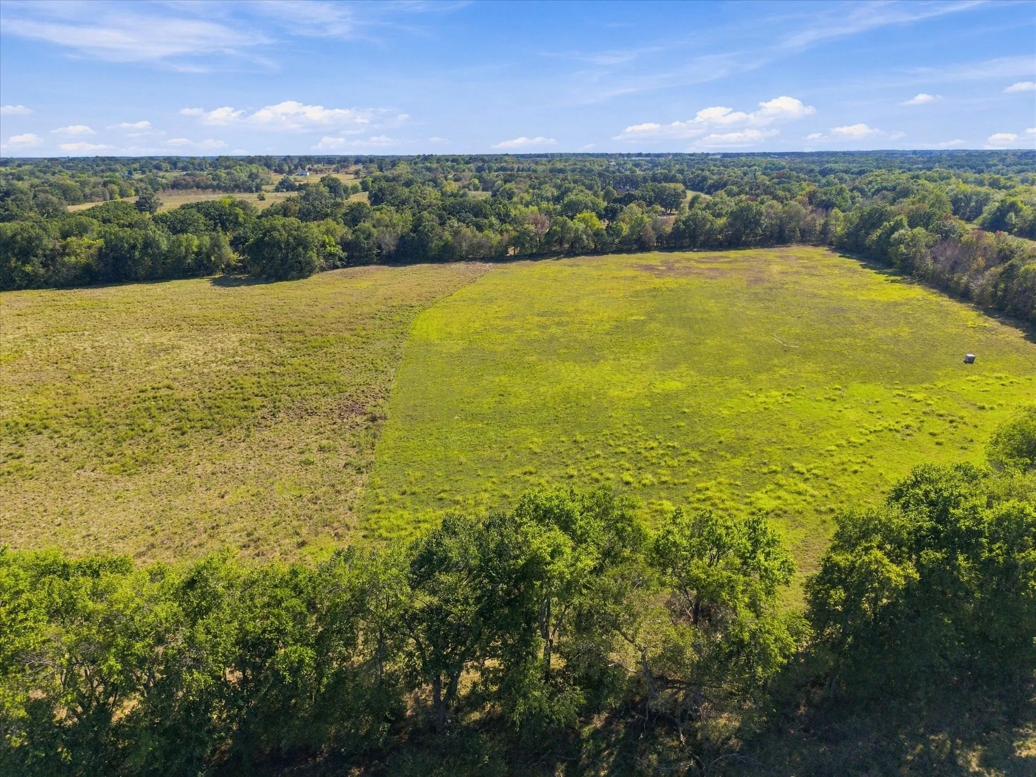 Unimproved Land For Sale in Hopkins County , 000 County Road 4612, Sulphur Springs, Texas 75482, 0, 0, Garage spaces, 0 Sqft, built in 0, mls#21405858, Real Estate Agent in Sulphur Springs, Homes For Sale in Hopkins county, Homes For Sale in Sulphur Springs, Realtor in Sulphur Springs Texas, Real Estate Brokerage Independent Realty Texas, Luminita Cordes Realtor