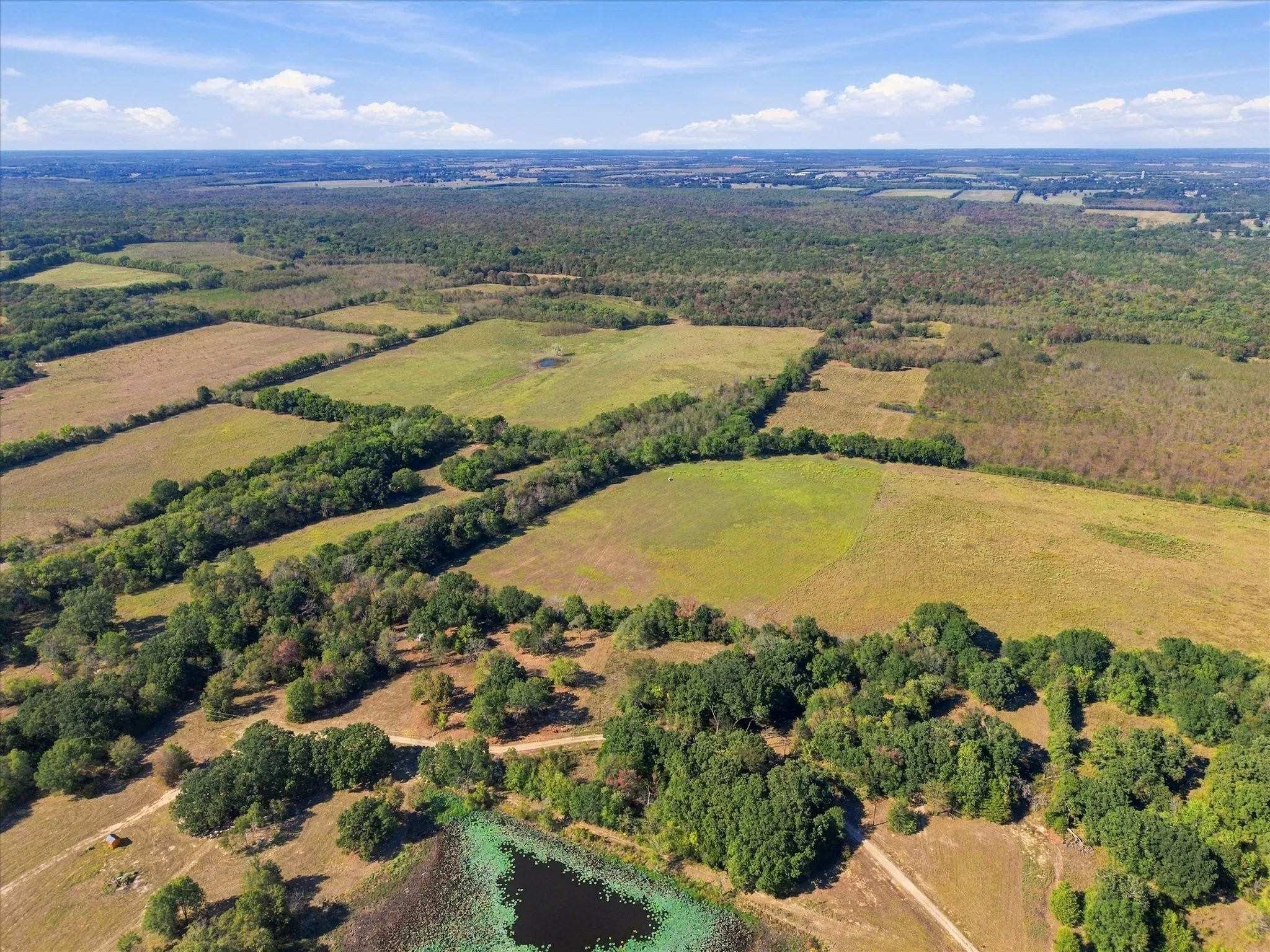 Unimproved Land For Sale in Hopkins County , 000 County Road 4612, Sulphur Springs, Texas 75482, 0, 0, Garage spaces, 0 Sqft, built in 0, mls#21405858, Real Estate Agent in Sulphur Springs, Homes For Sale in Hopkins county, Homes For Sale in Sulphur Springs, Realtor in Sulphur Springs Texas, Real Estate Brokerage Independent Realty Texas, Luminita Cordes Realtor