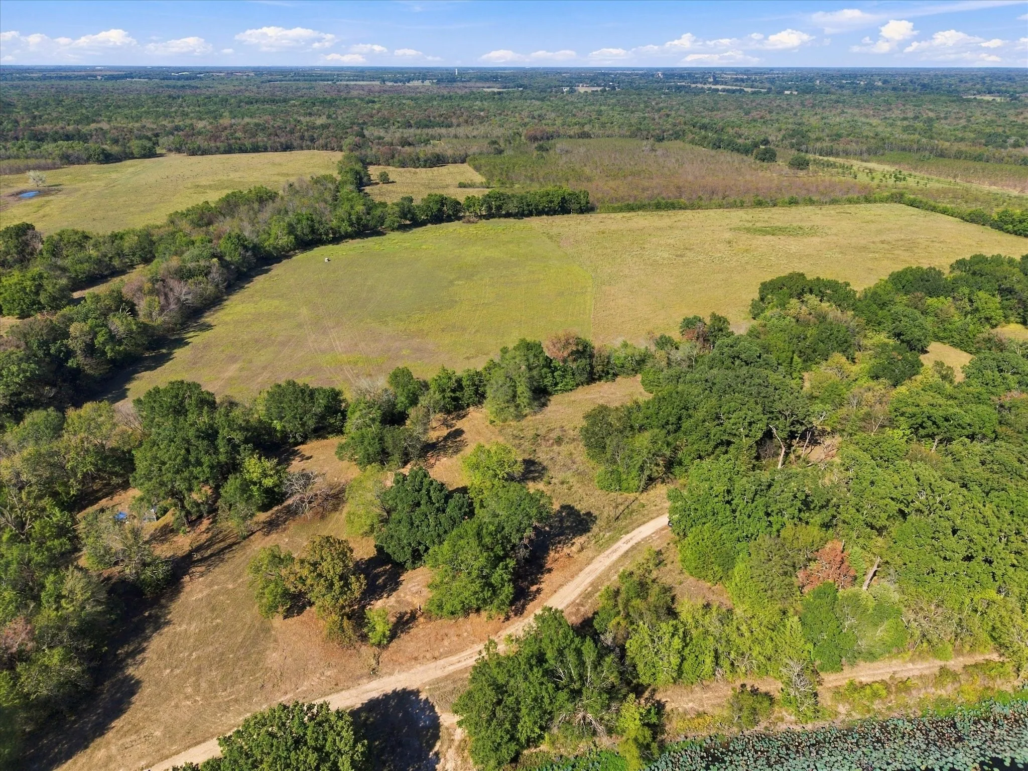 Unimproved Land For Sale in Hopkins County , 000 County Road 4612, Sulphur Springs, Texas 75482, 0, 0, Garage spaces, 0 Sqft, built in 0, mls#21405858, Real Estate Agent in Sulphur Springs, Homes For Sale in Hopkins county, Homes For Sale in Sulphur Springs, Realtor in Sulphur Springs Texas, Real Estate Brokerage Independent Realty Texas, Luminita Cordes Realtor