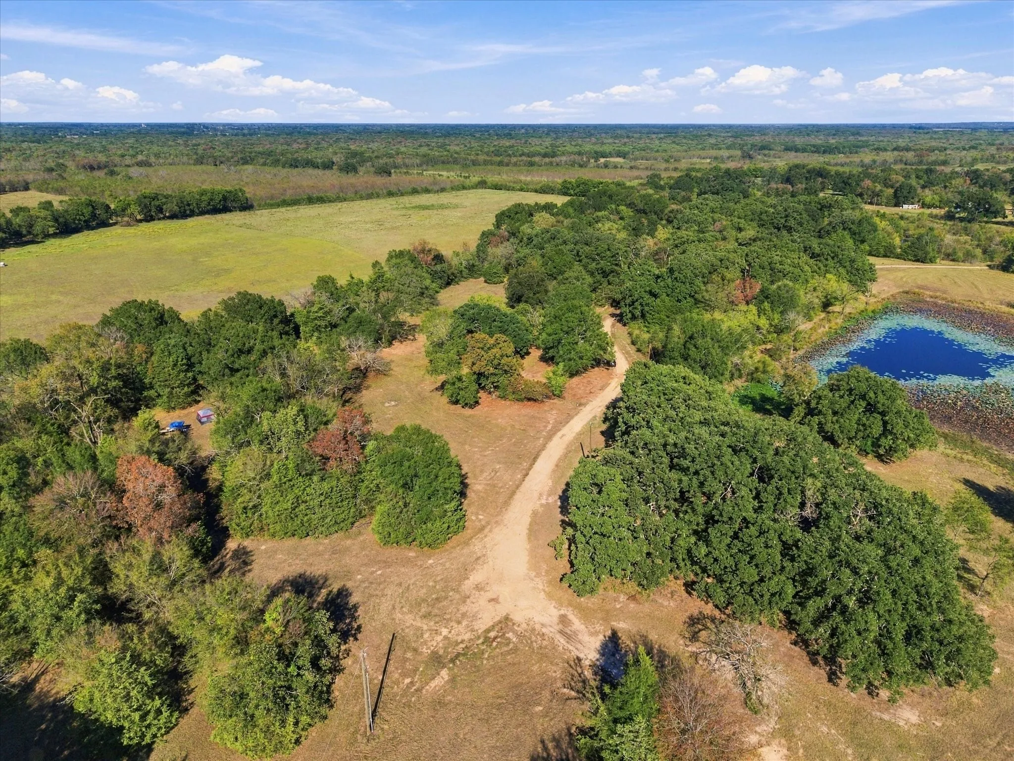Unimproved Land For Sale in Hopkins County , 000 County Road 4612, Sulphur Springs, Texas 75482, 0, 0, Garage spaces, 0 Sqft, built in 0, mls#21405858, Real Estate Agent in Sulphur Springs, Homes For Sale in Hopkins county, Homes For Sale in Sulphur Springs, Realtor in Sulphur Springs Texas, Real Estate Brokerage Independent Realty Texas, Luminita Cordes Realtor