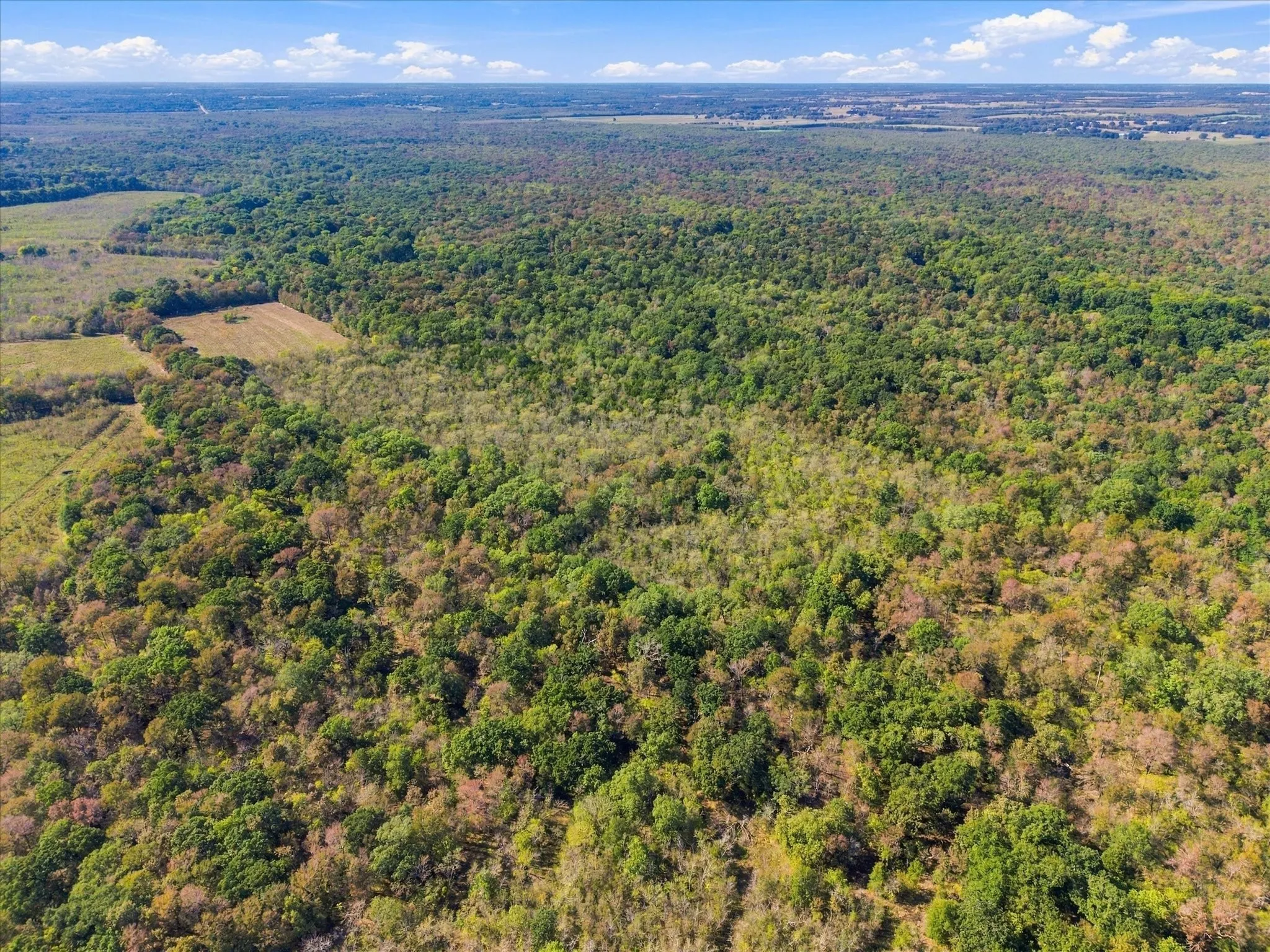 Unimproved Land For Sale in Hopkins County , 000 County Road 4612, Sulphur Springs, Texas 75482, 0, 0, Garage spaces, 0 Sqft, built in 0, mls#21405858, Real Estate Agent in Sulphur Springs, Homes For Sale in Hopkins county, Homes For Sale in Sulphur Springs, Realtor in Sulphur Springs Texas, Real Estate Brokerage Independent Realty Texas, Luminita Cordes Realtor