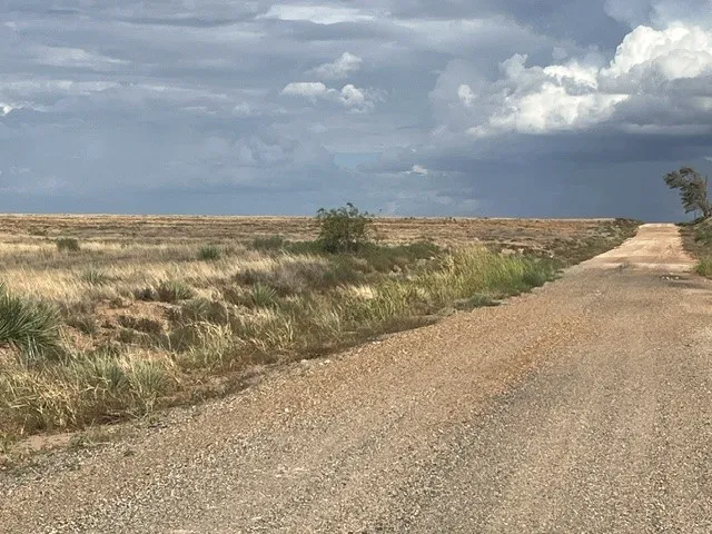Unimproved Land For Sale in Fisher County , TBD County Rd 412, Roby, Texas 79543, 0, 0, Garage spaces, 0 Sqft, built in 0, mls#21405876, Real Estate Agent in Roby, Homes For Sale in Fisher county, Homes For Sale in Roby, Realtor in Roby Texas, Real Estate Brokerage Independent Realty Texas, Luminita Cordes Realtor