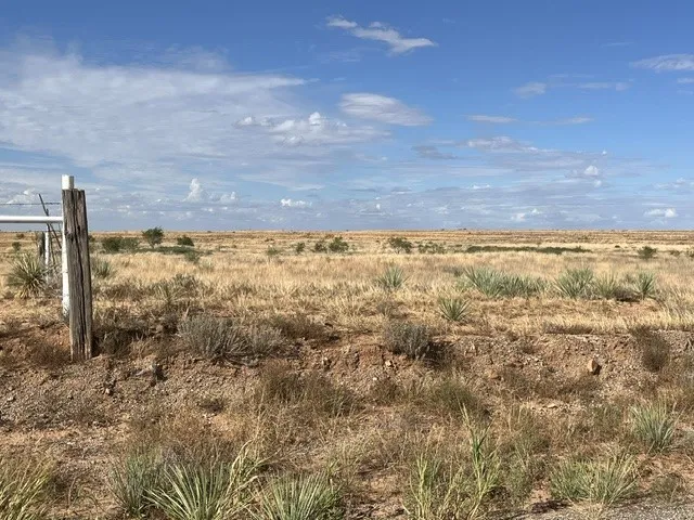 Unimproved Land For Sale in Fisher County , TBD County Rd 412, Roby, Texas 79543, 0, 0, Garage spaces, 0 Sqft, built in 0, mls#21405876, Real Estate Agent in Roby, Homes For Sale in Fisher county, Homes For Sale in Roby, Realtor in Roby Texas, Real Estate Brokerage Independent Realty Texas, Luminita Cordes Realtor